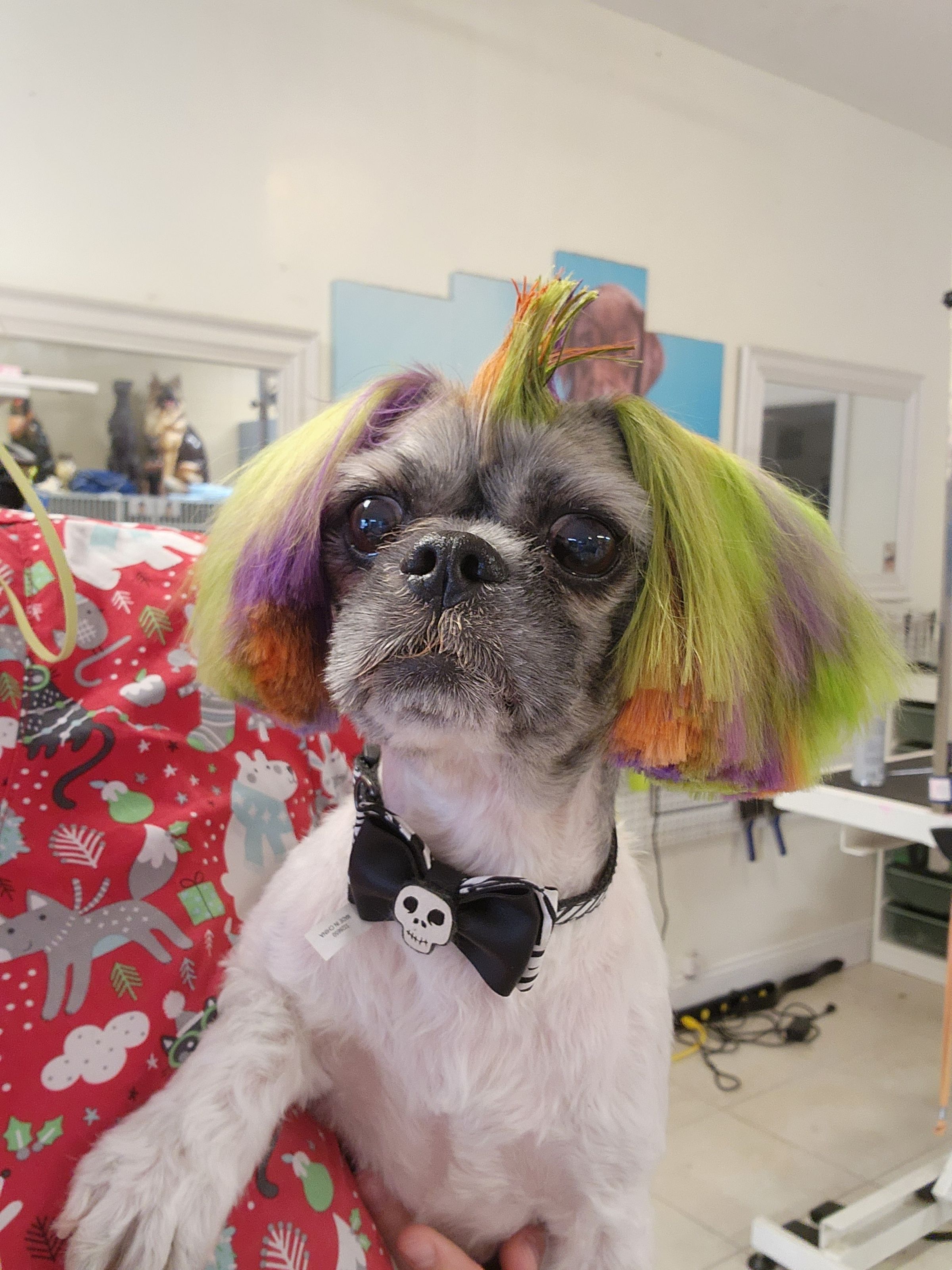  CORI’S CRITTER CREATIONS 's image