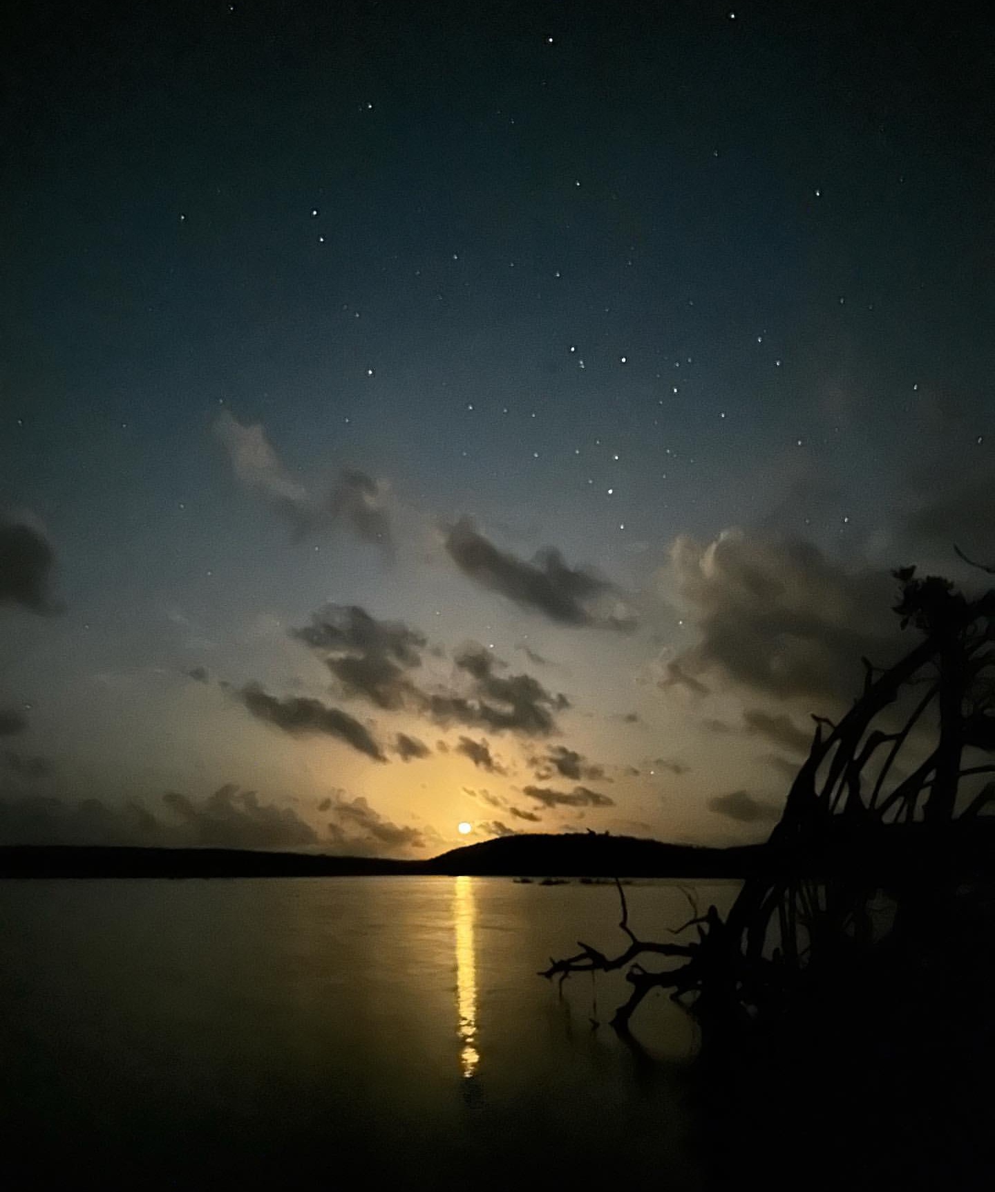 THE SHOW TOURS's image