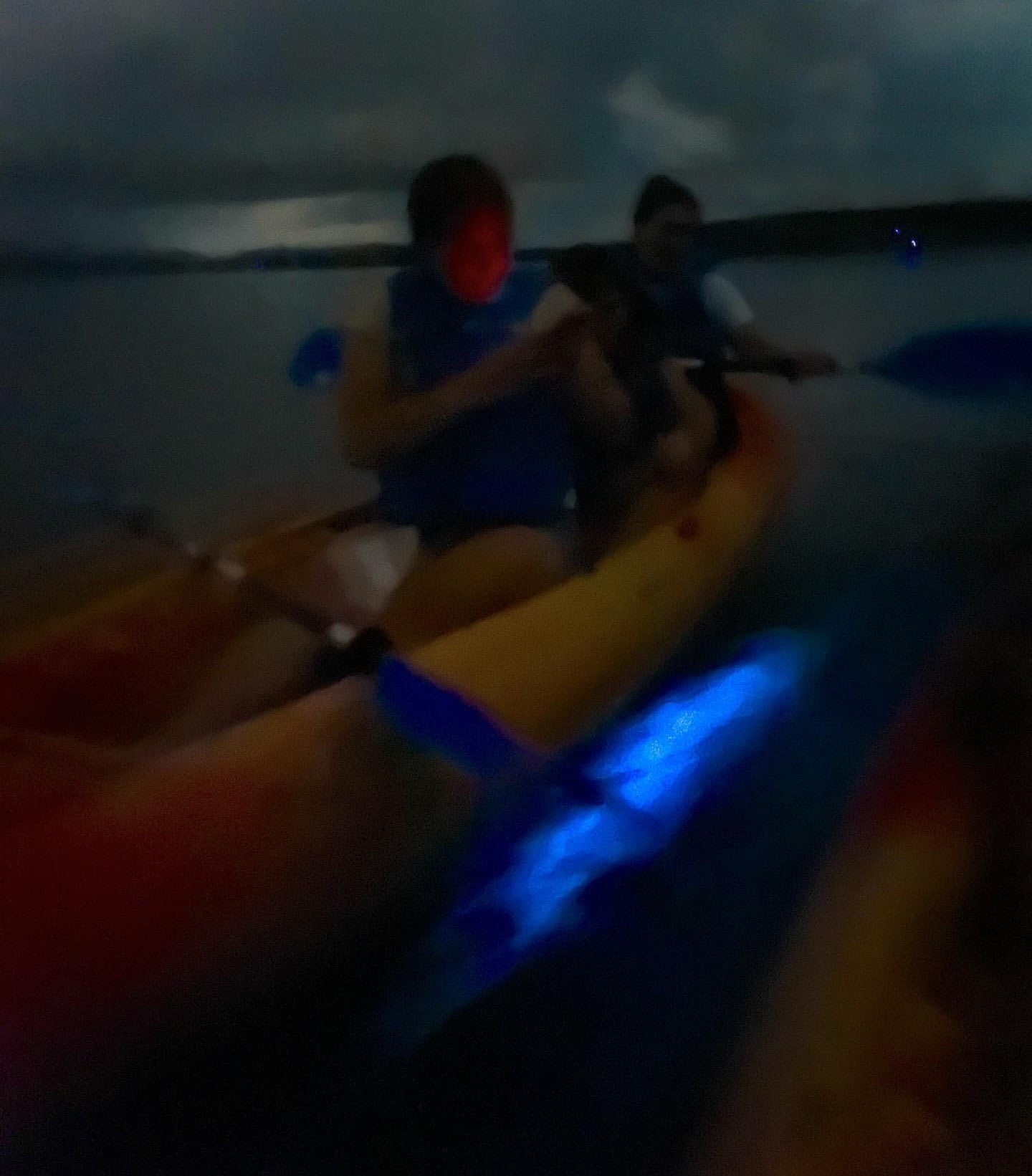 THE SHOW TOURS's image