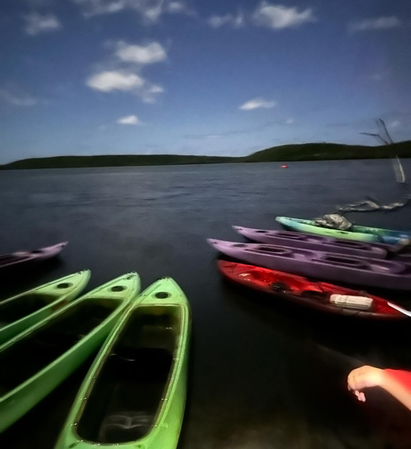 THE SHOW TOURS's image