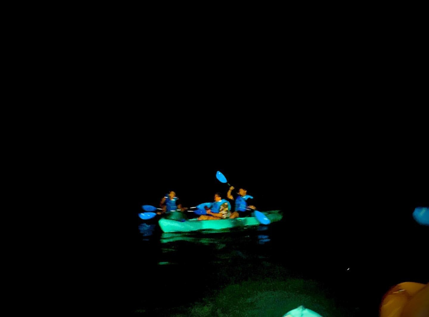 THE SHOW TOURS's image