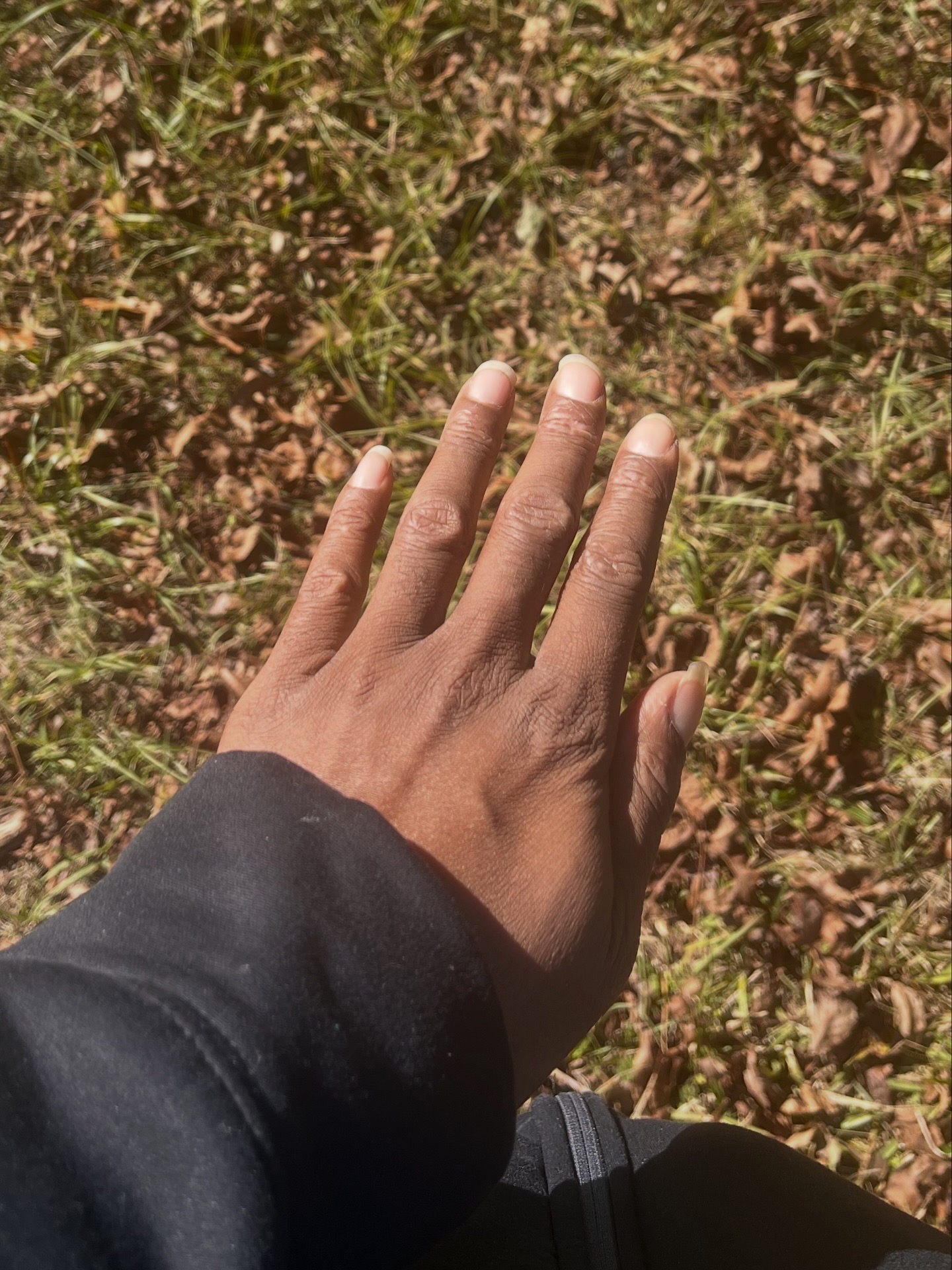 Royaltyriichez's image