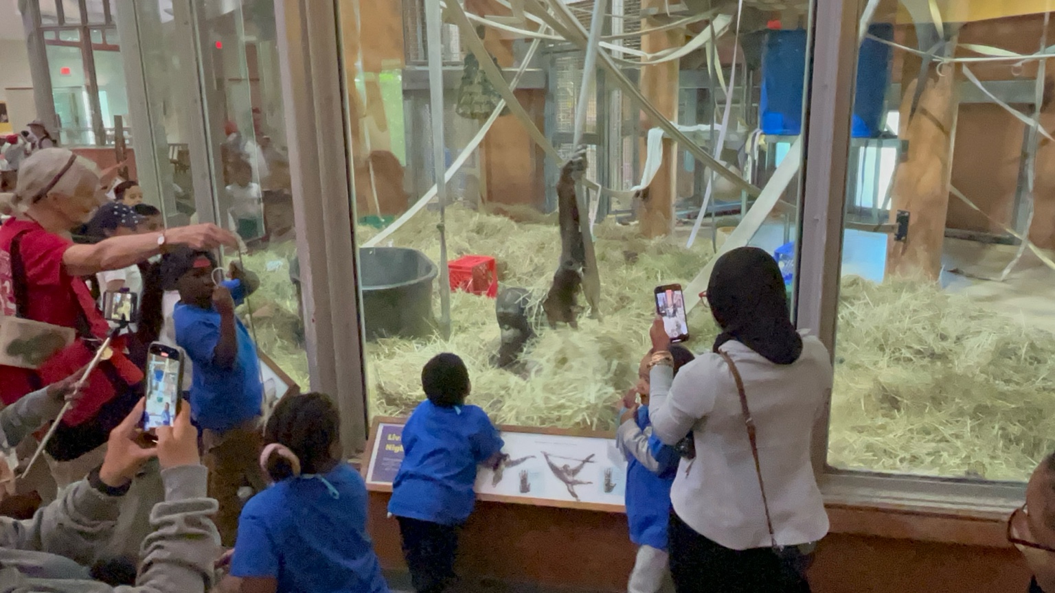 Precious Pumpkins Daycare's image