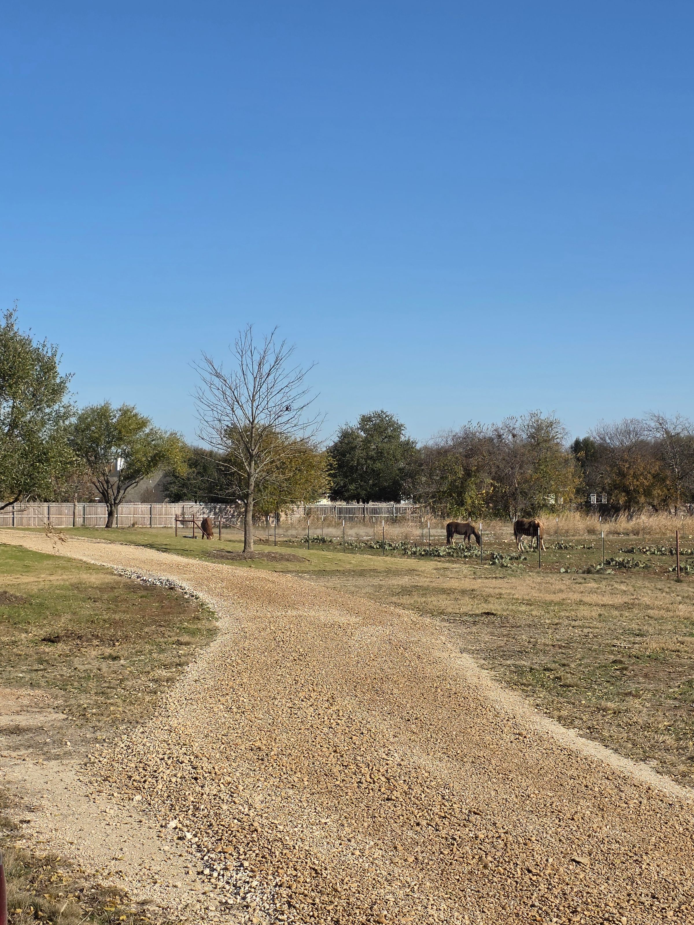 Justice Excavation's image