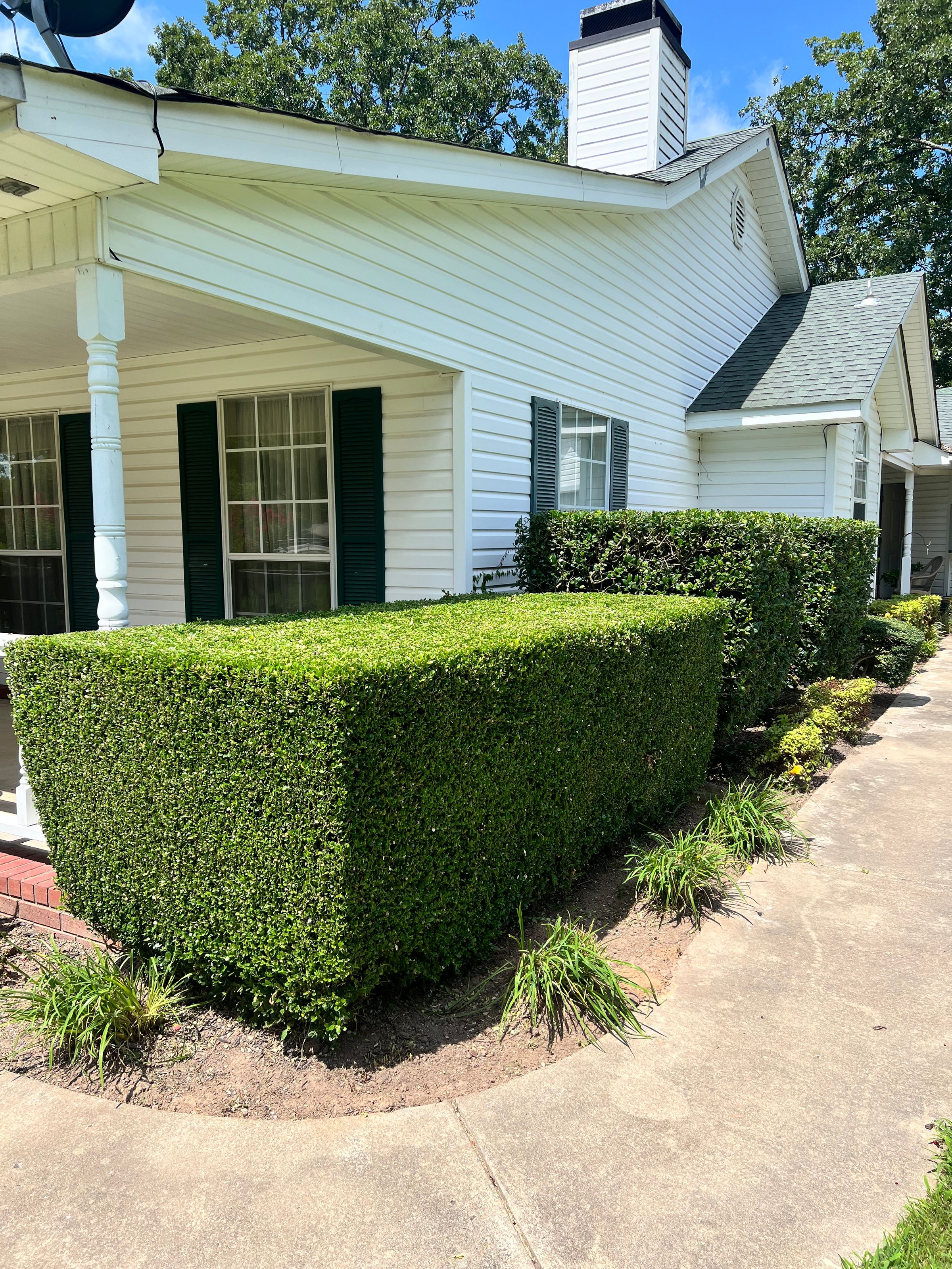 A&C LAWN AND LANDSCAPE SERVICE 's image