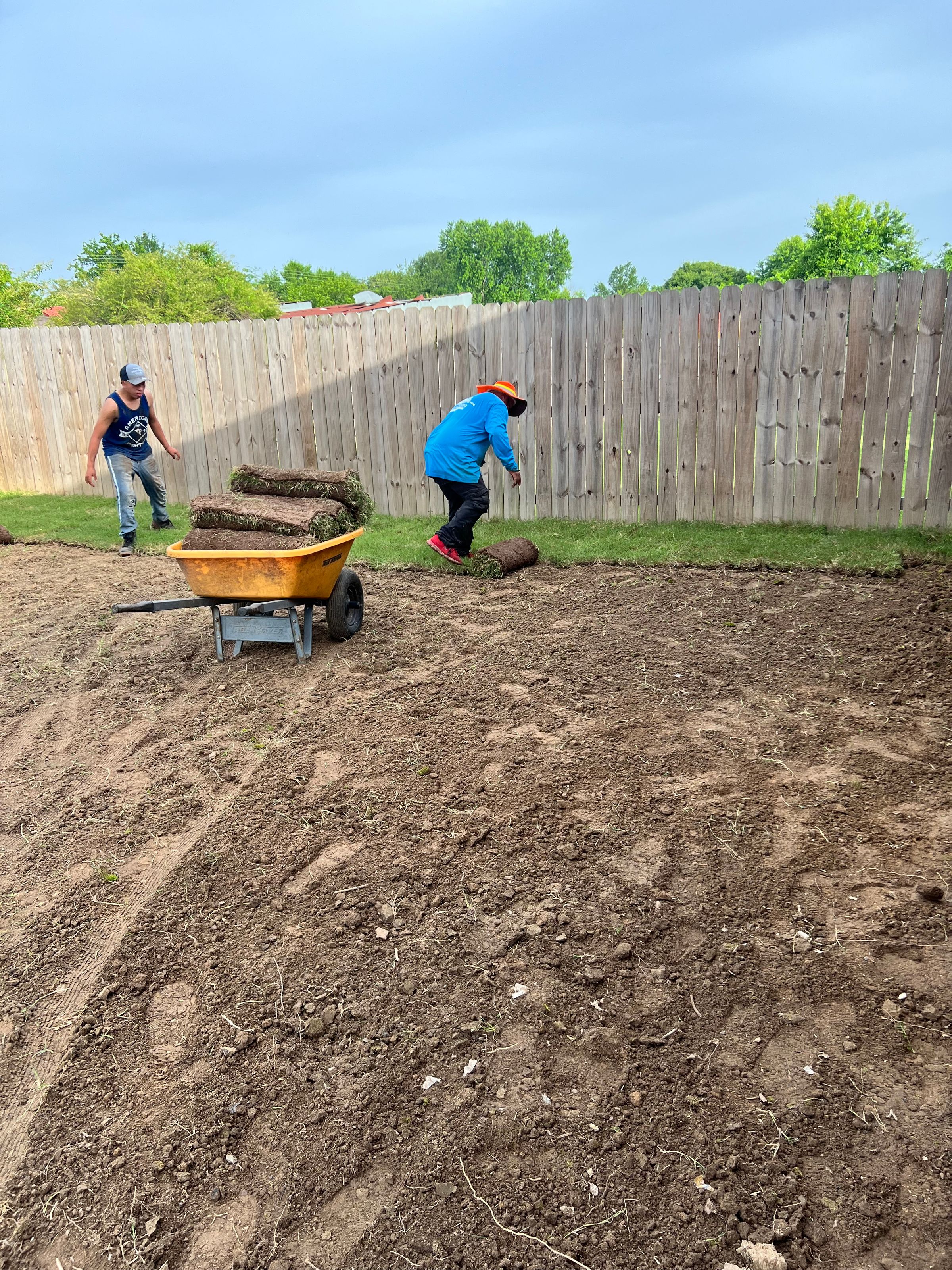 A&C LAWN AND LANDSCAPE SERVICE 's image