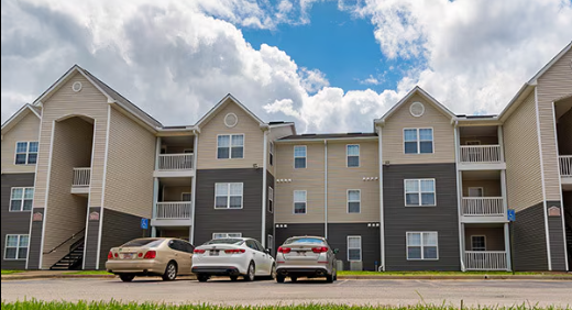 Deep South Collaborative LLC's image