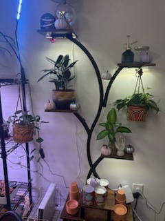 Never Sink Therapy's image