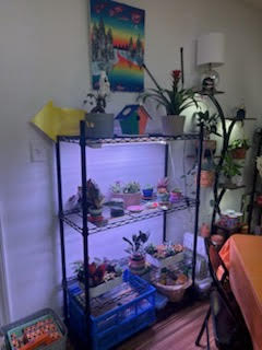 Never Sink Therapy's image