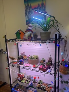 Never Sink Therapy's image