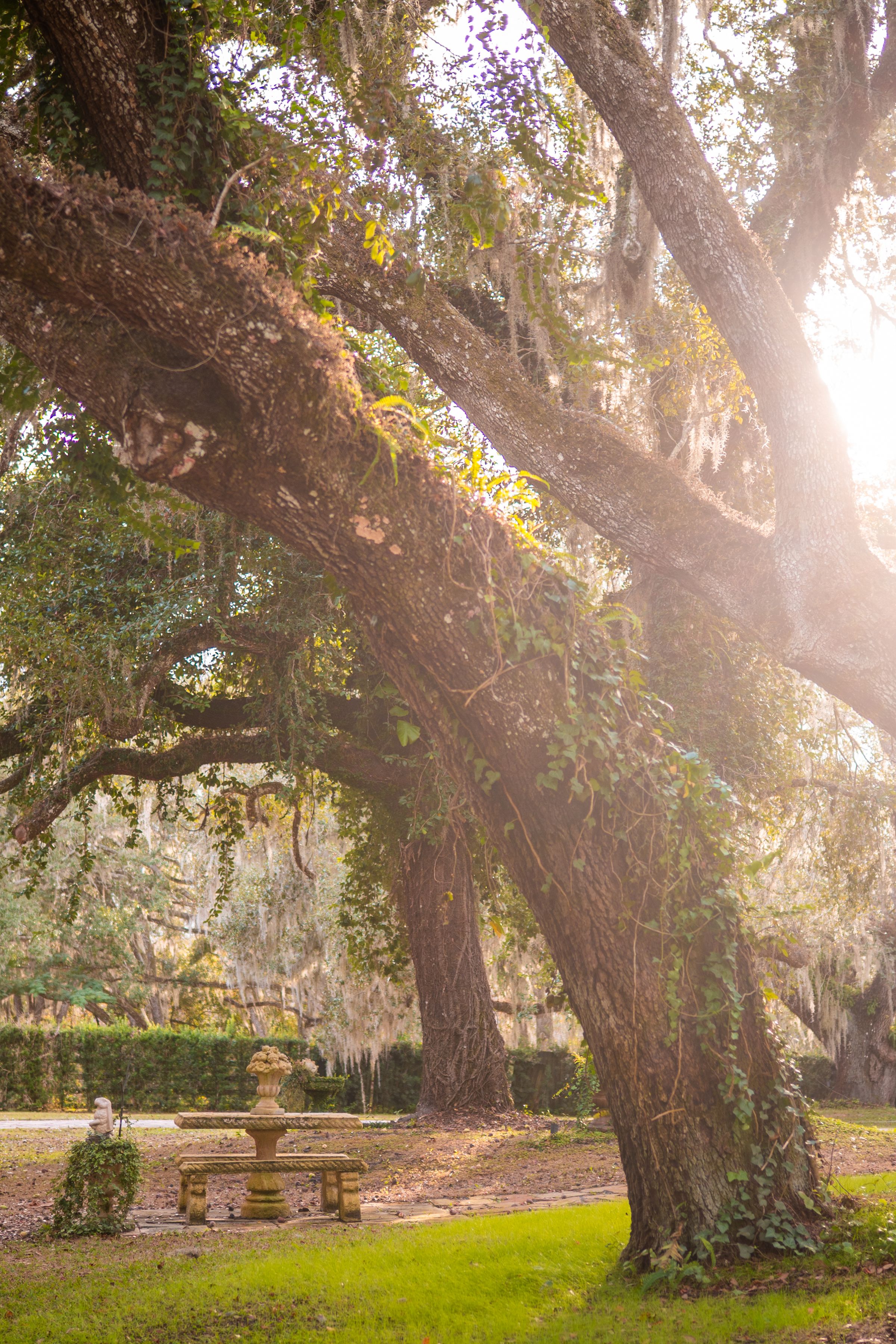 Luxury Wedding Venue in Central Florida | Della Luna Estate's image