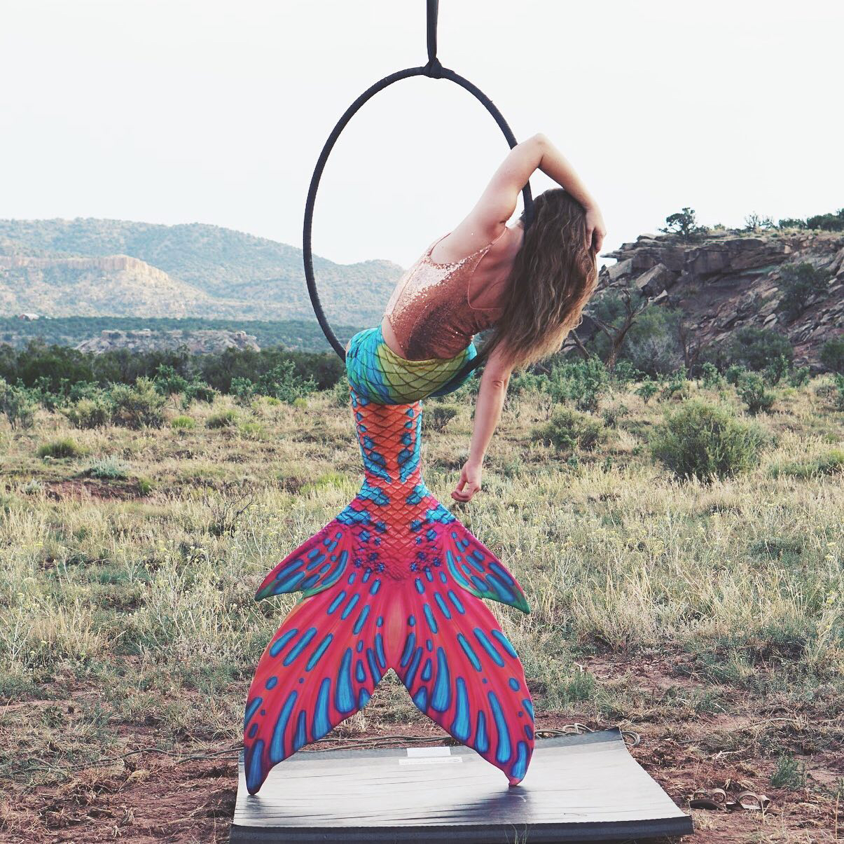 THE ART OF THE TEASE 's image