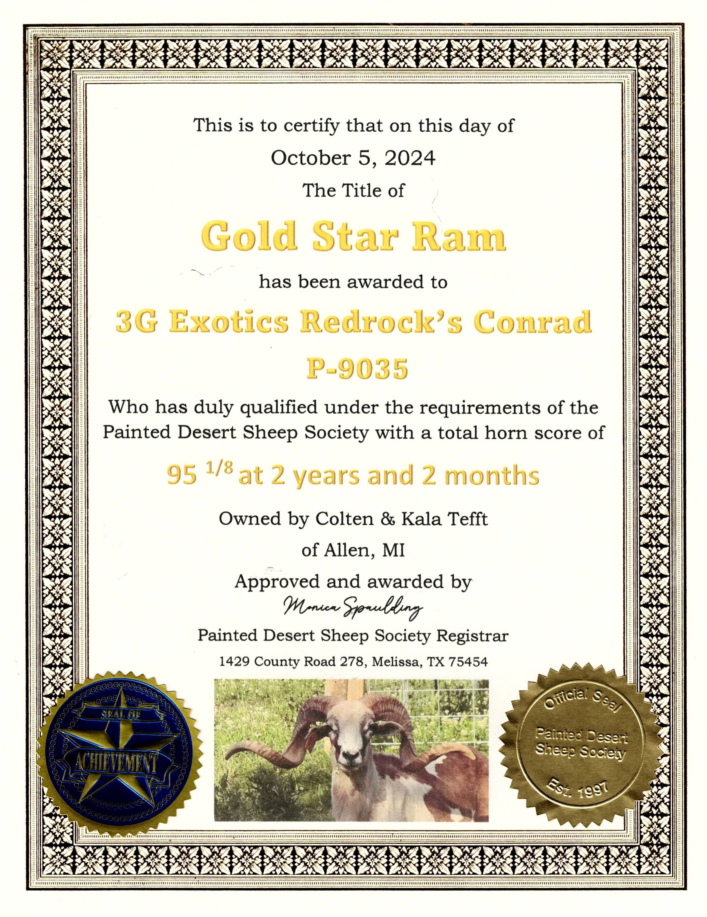 Tefft Farm | Painted Desert Sheep | Corsican | Allen, Mi USA's image