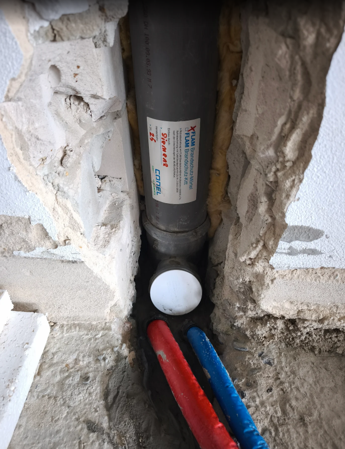 Alex Siemens  avatar