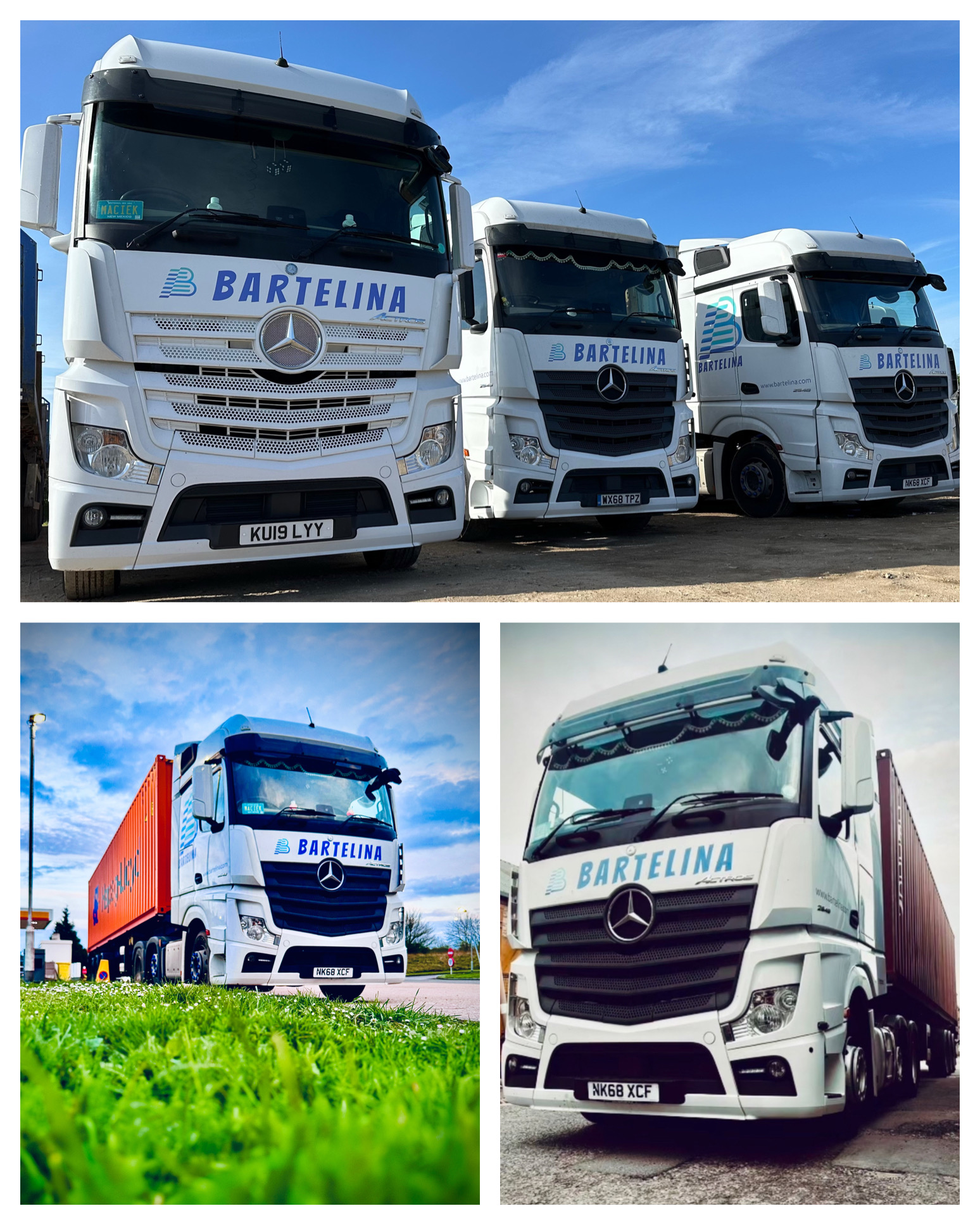 Bartelina's image