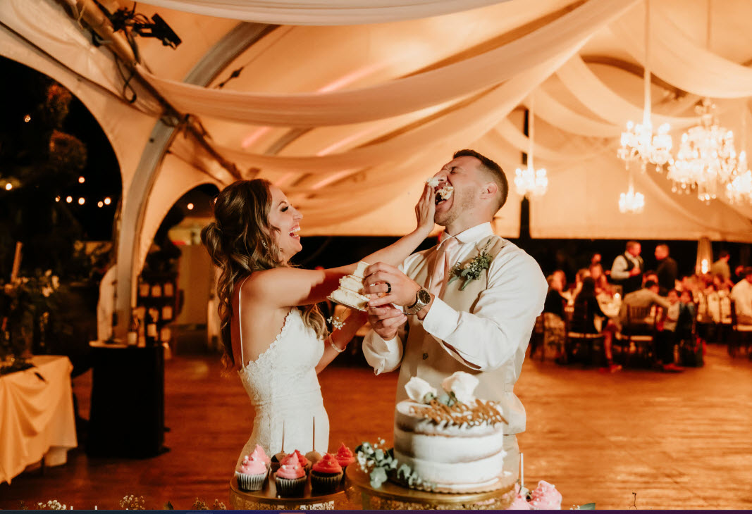 Audio Nirvana Production - Mixing Moments, Making Memories's image