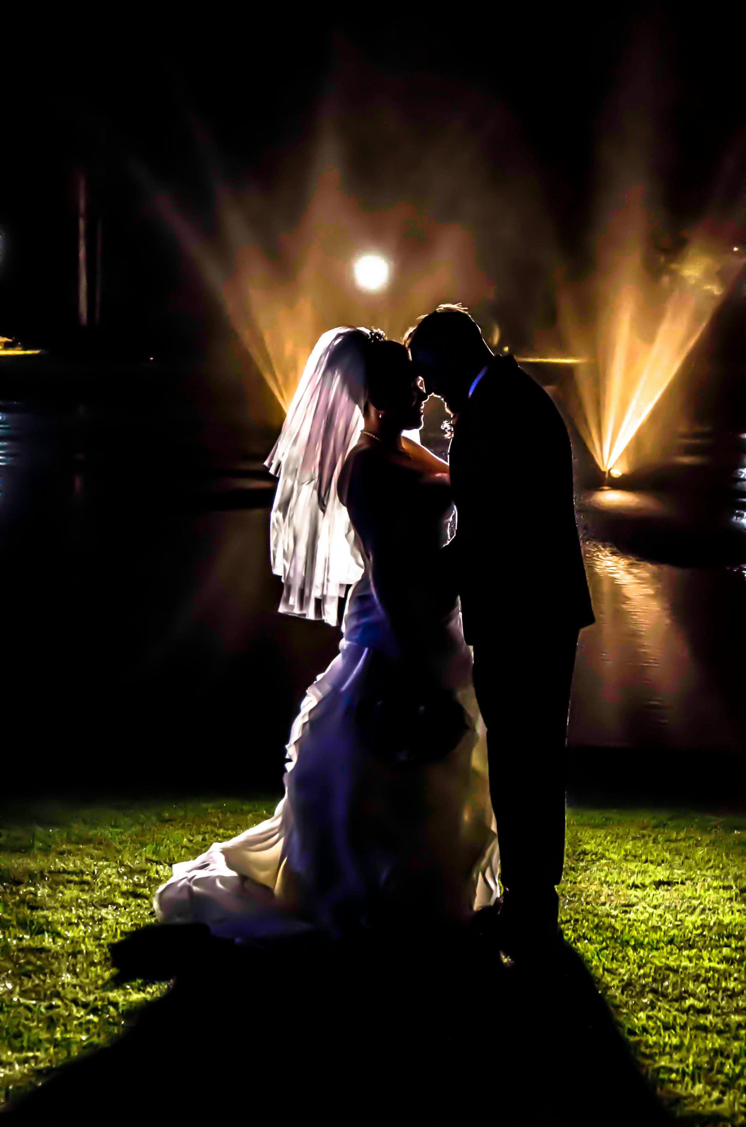Audio Nirvana Production - Mixing Moments, Making Memories's image