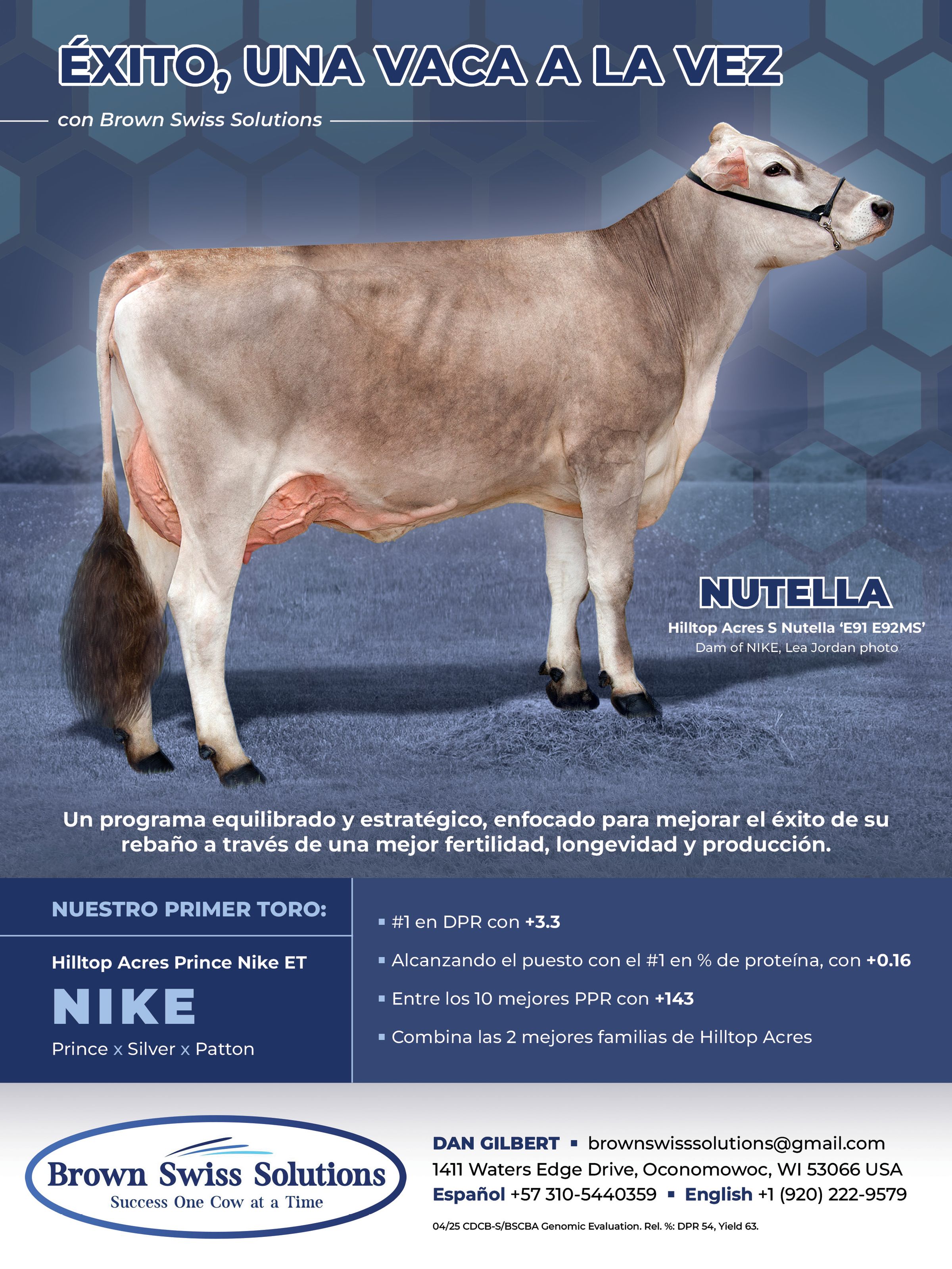 Brown Swiss Genetics and semen's image