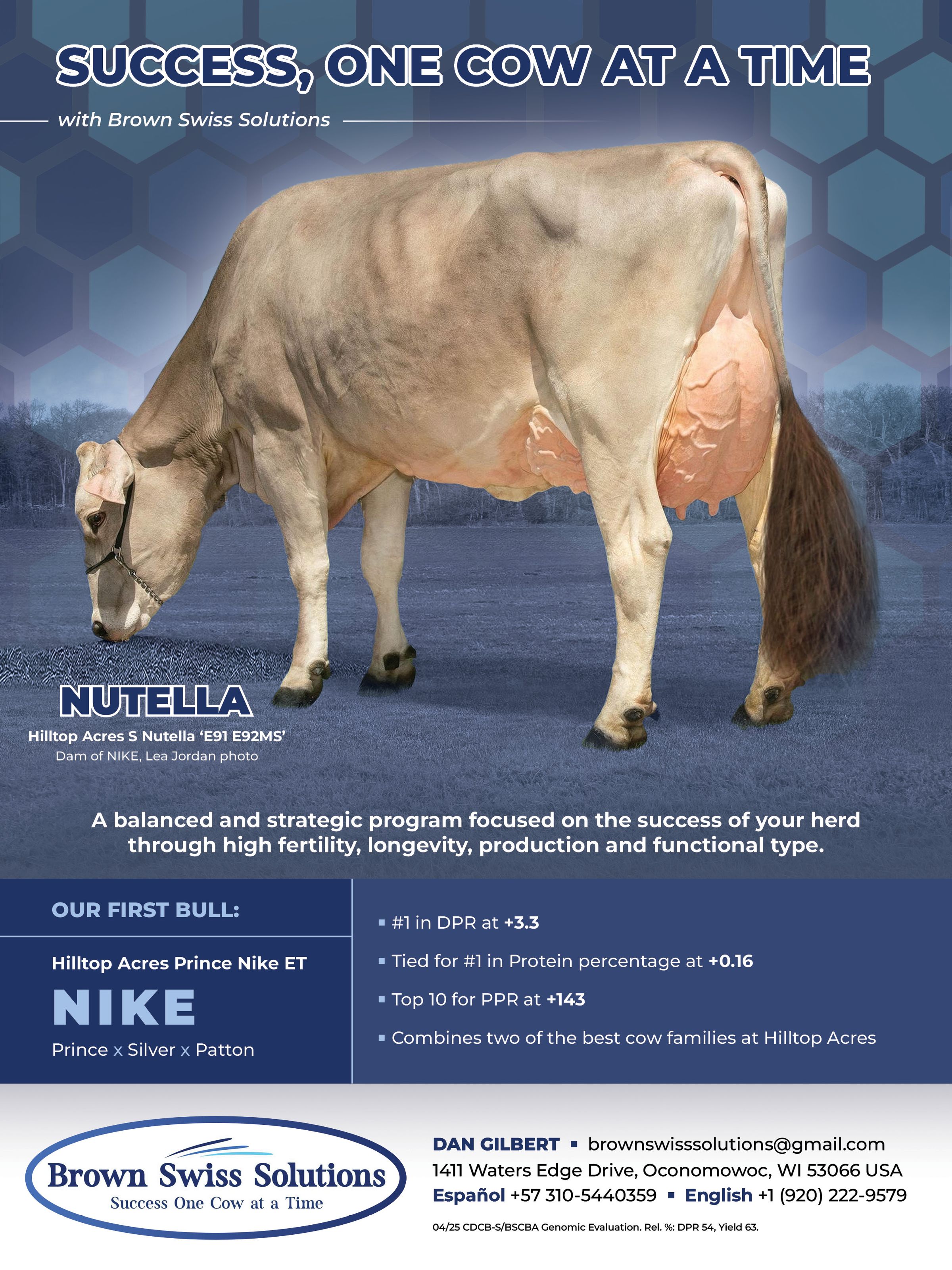 Brown Swiss Genetics and semen's image