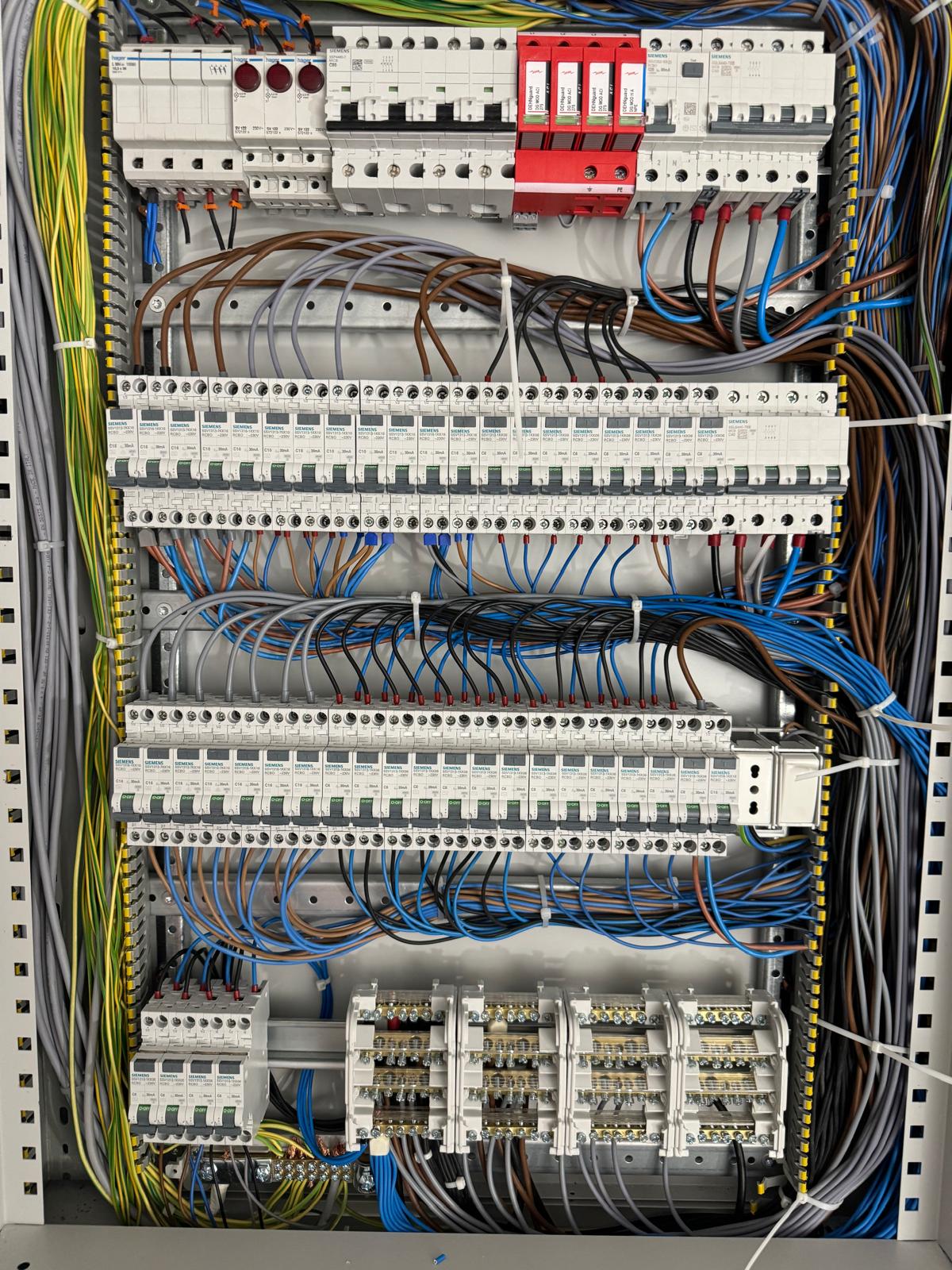 's image