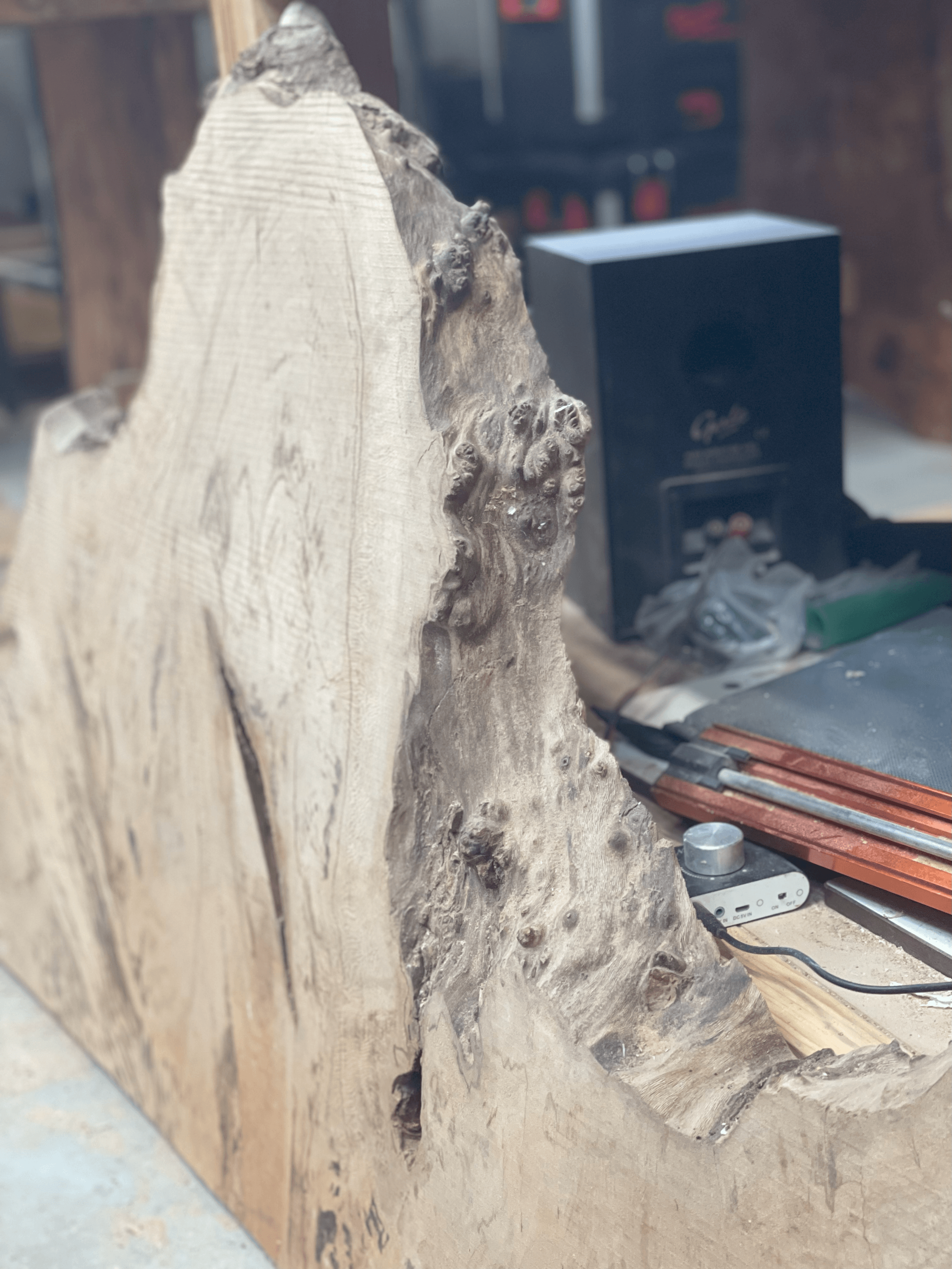A live wood edge of London Plane for my next project to come