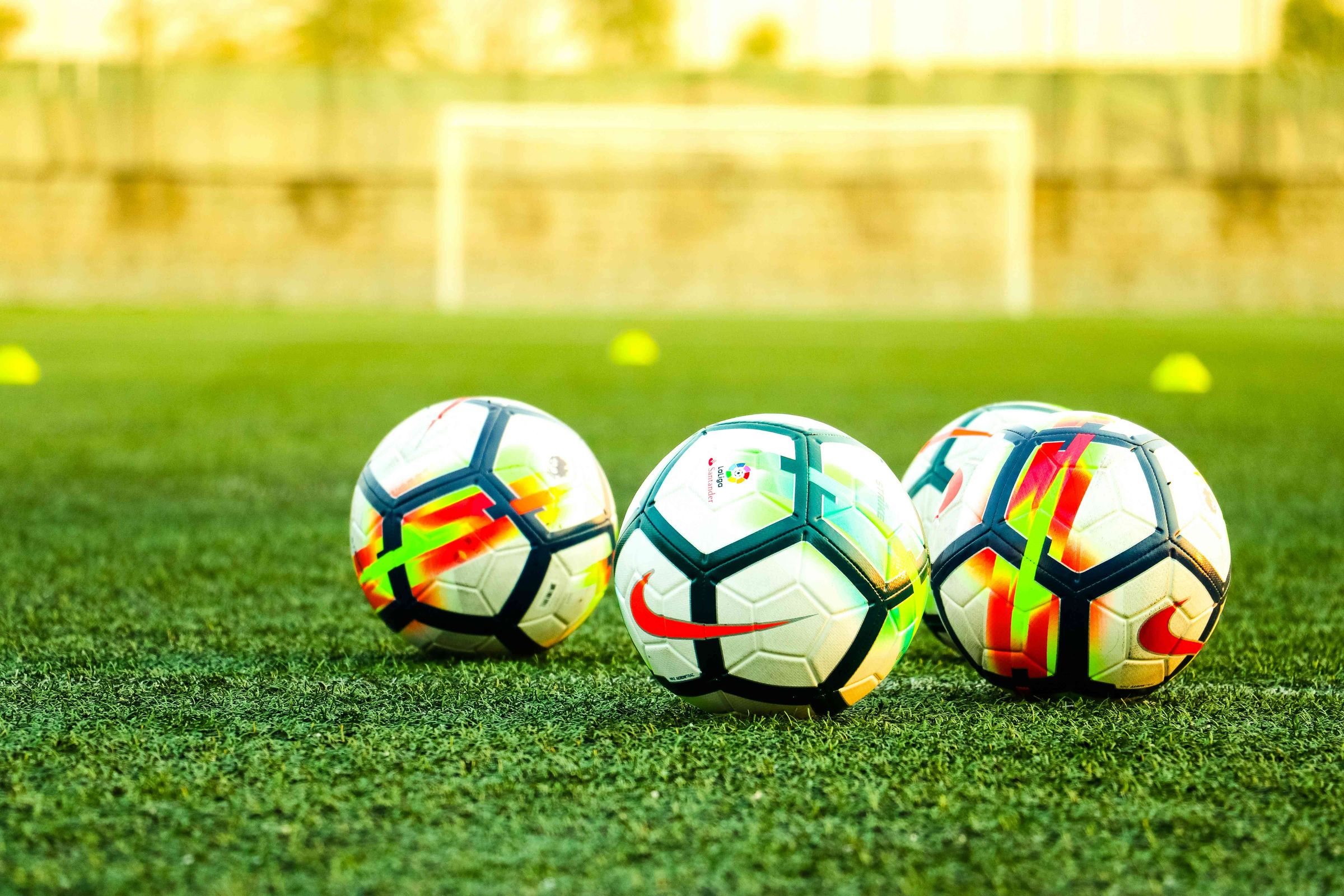 Jurkic Performance Soccer's image