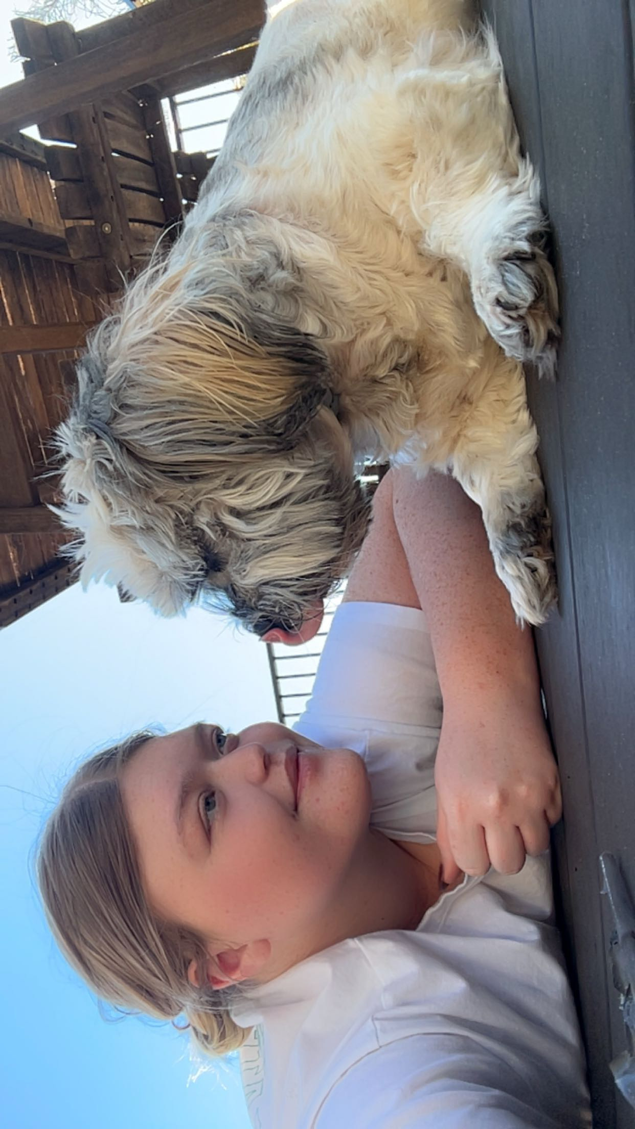 Paws & Homes's image