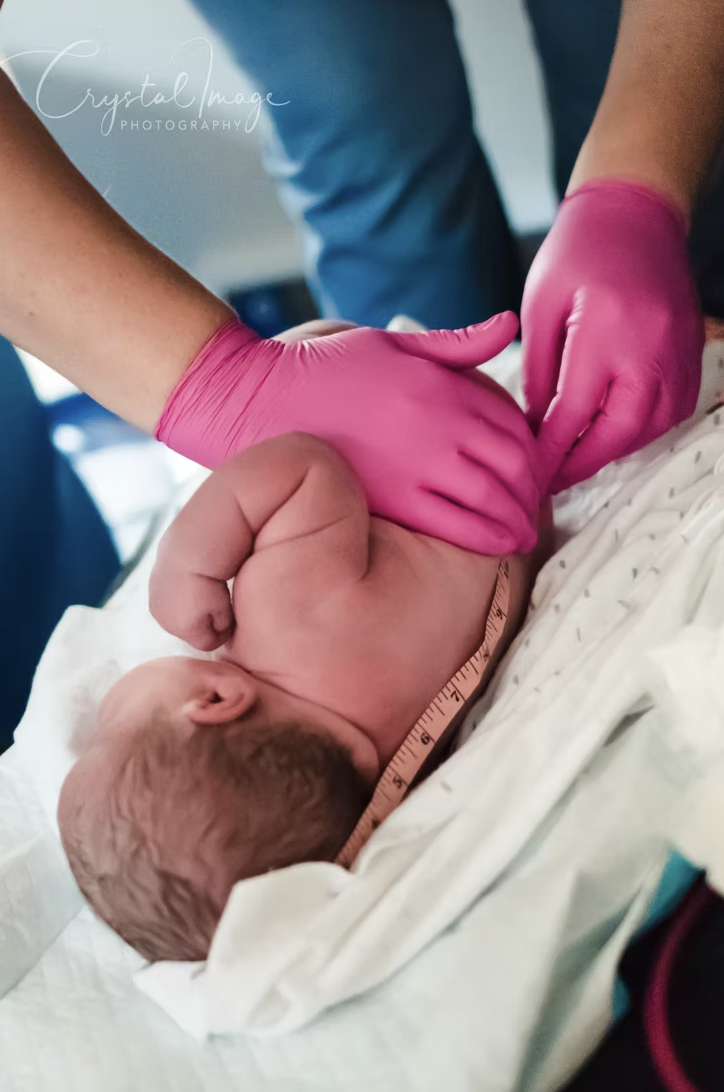 Nightingale Birth House- New Hampshire Midwifery Care's image