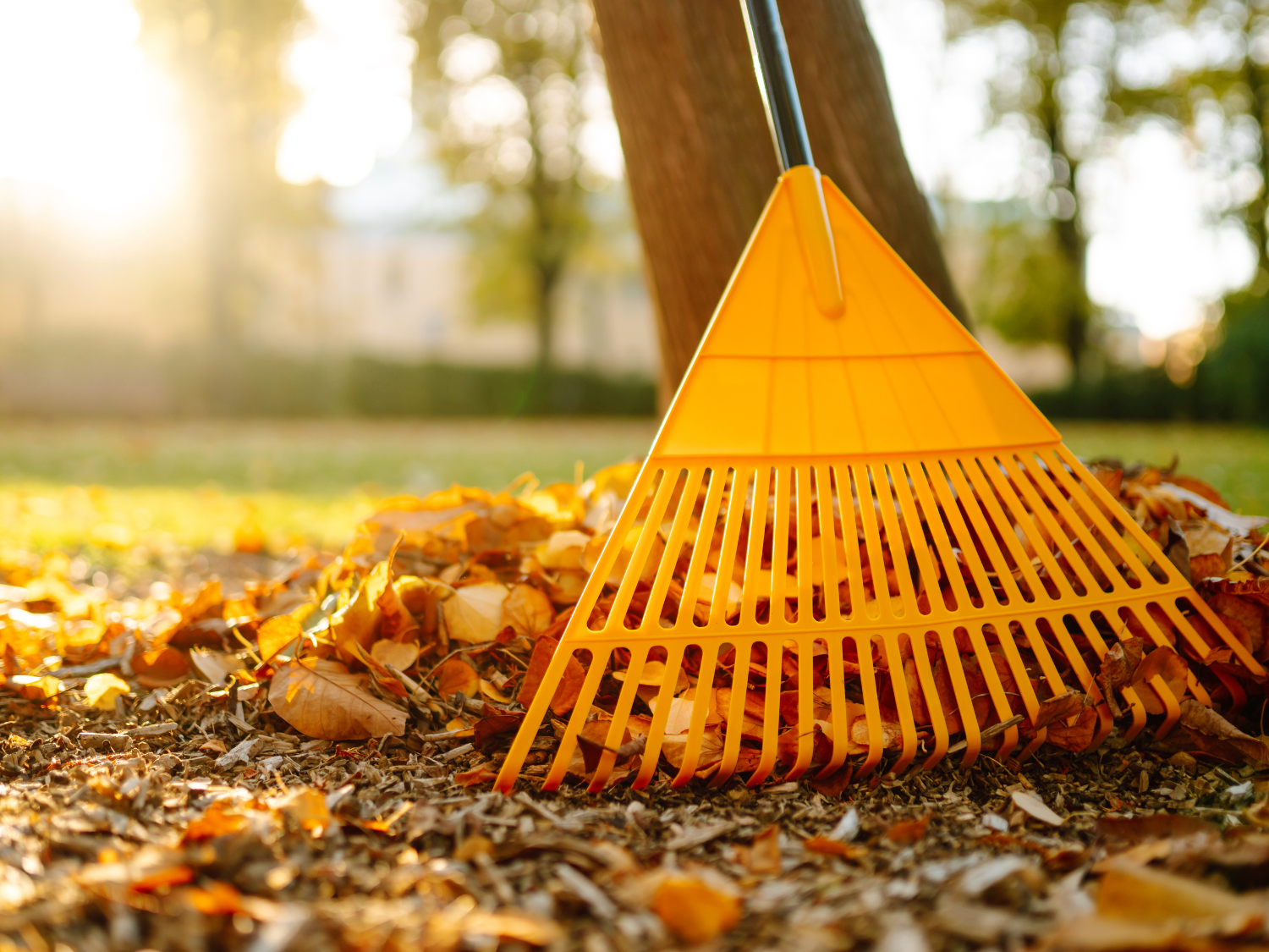 Southern Culture Landscaping's image