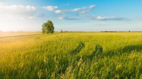 The Life of Lawyers: Life at Knight Miller Law