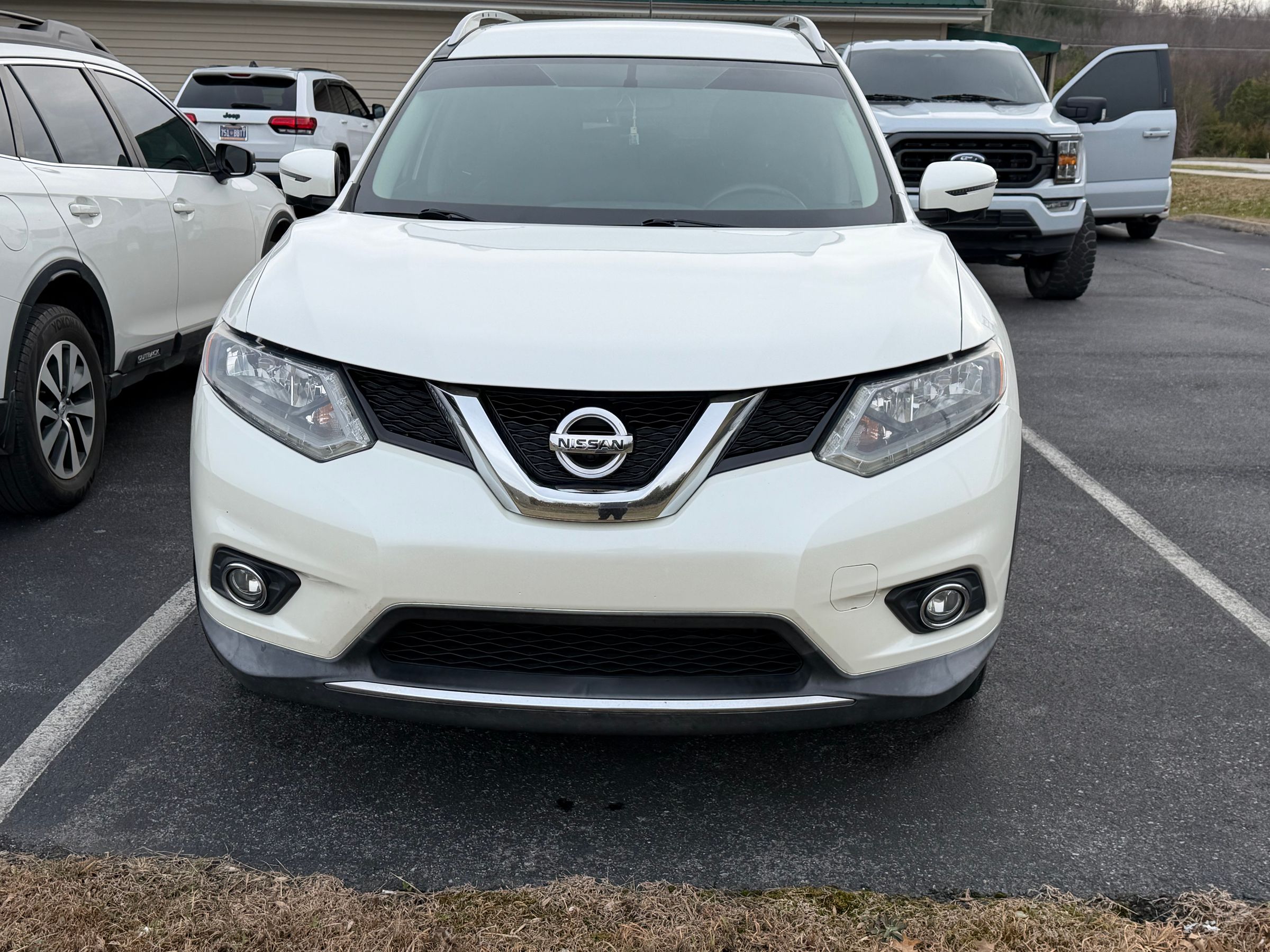 Supreme Shine's image