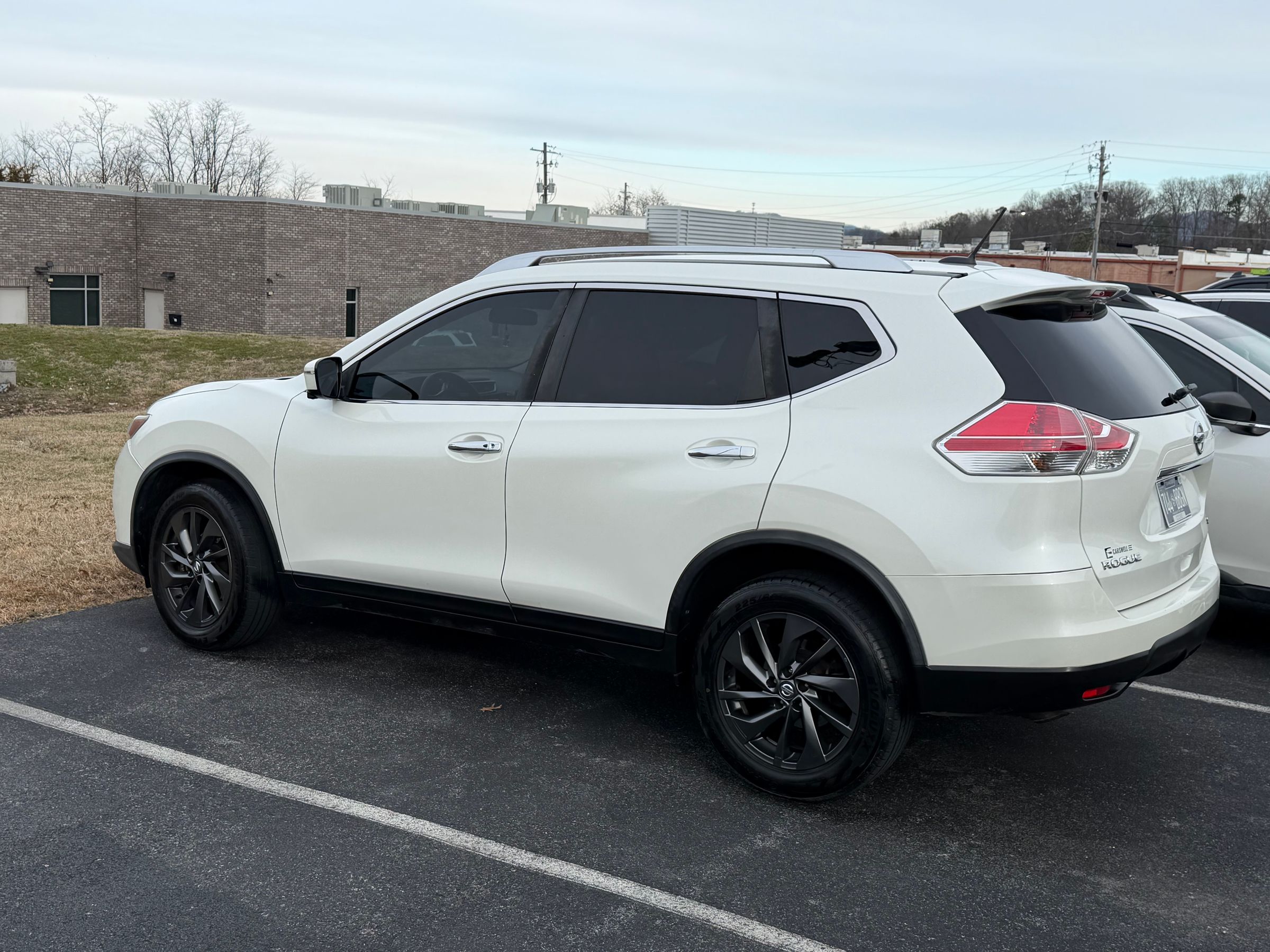 Supreme Shine's image