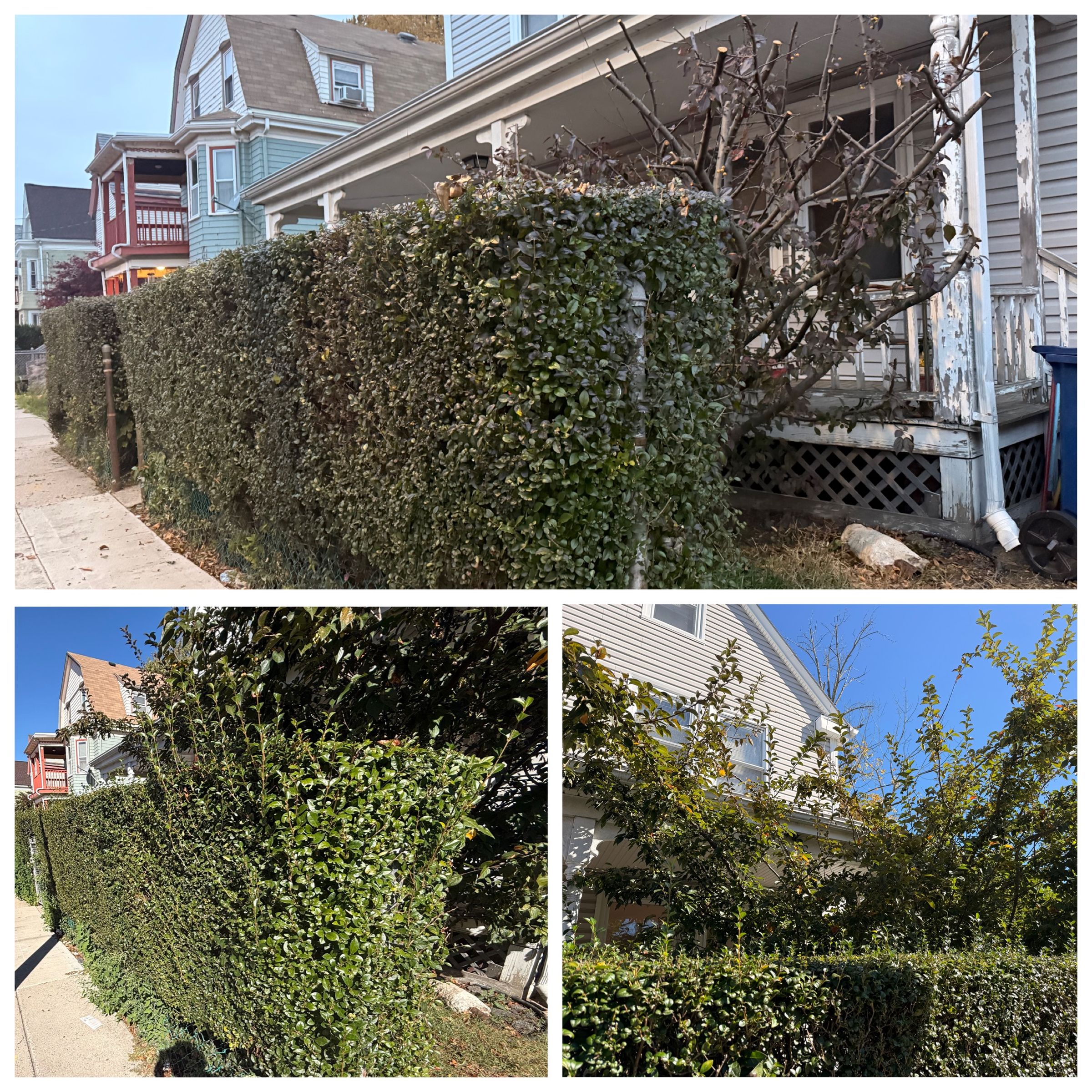 Affinity Grounds's image