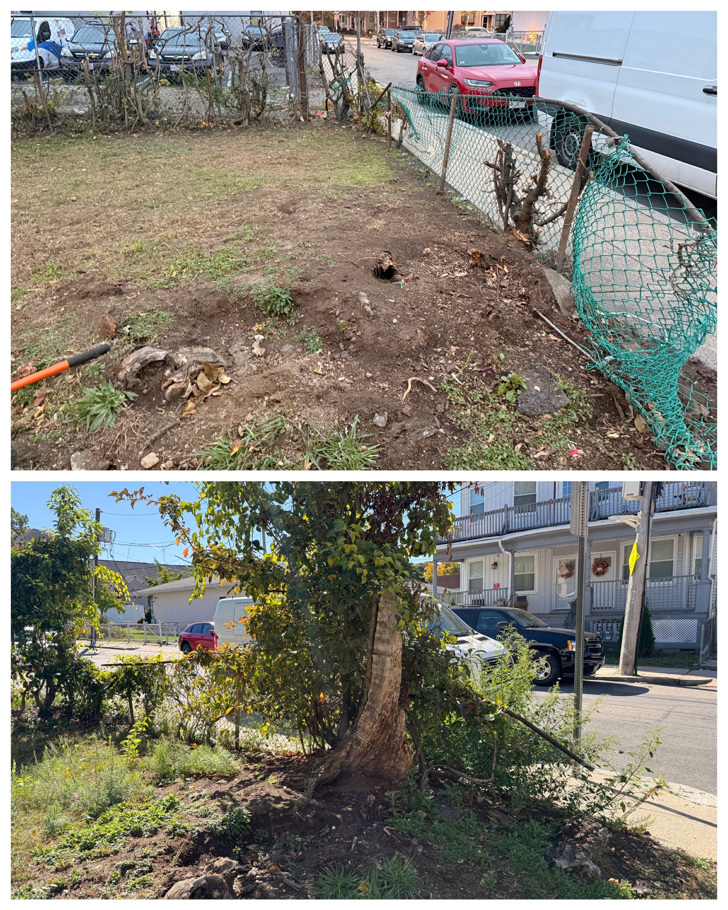 Affinity Grounds's image