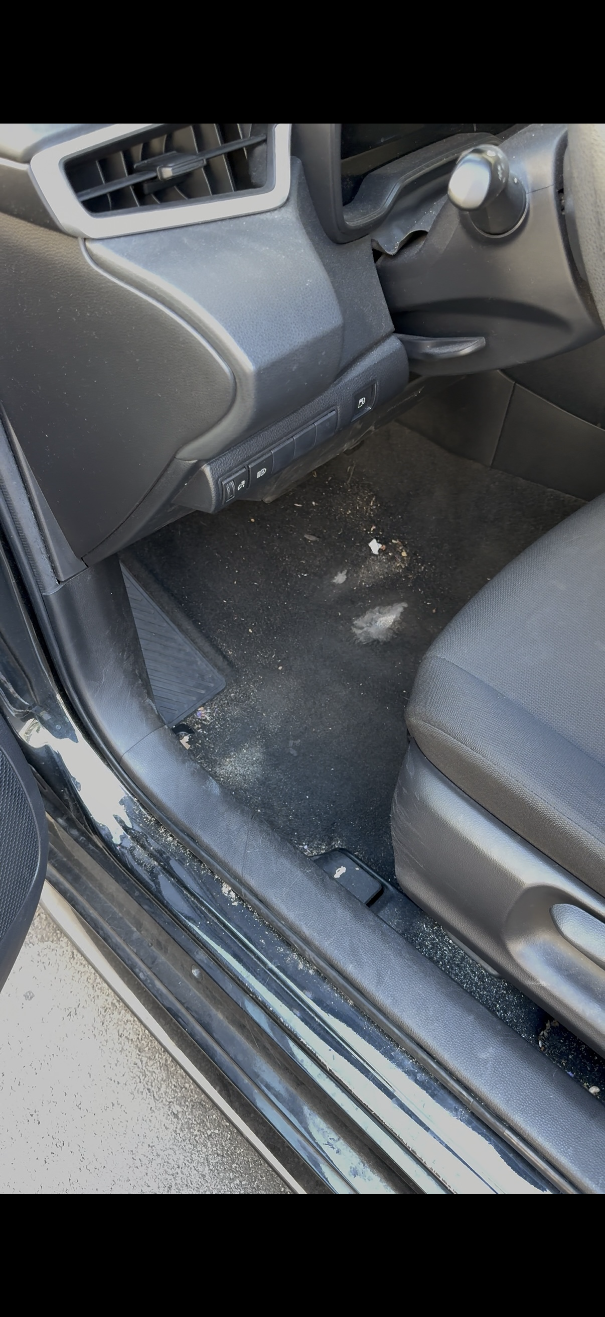 Car Detailing in Lake Forest, CA| Refreshd Detailing's image