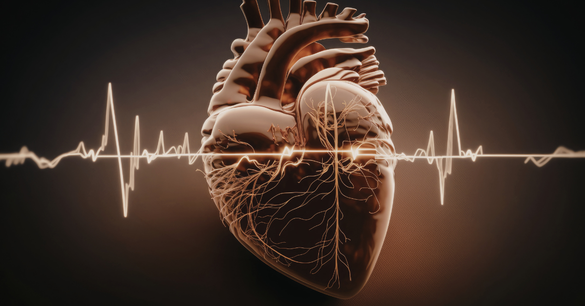 Abrams CPR And First Aid Training, LLC's image