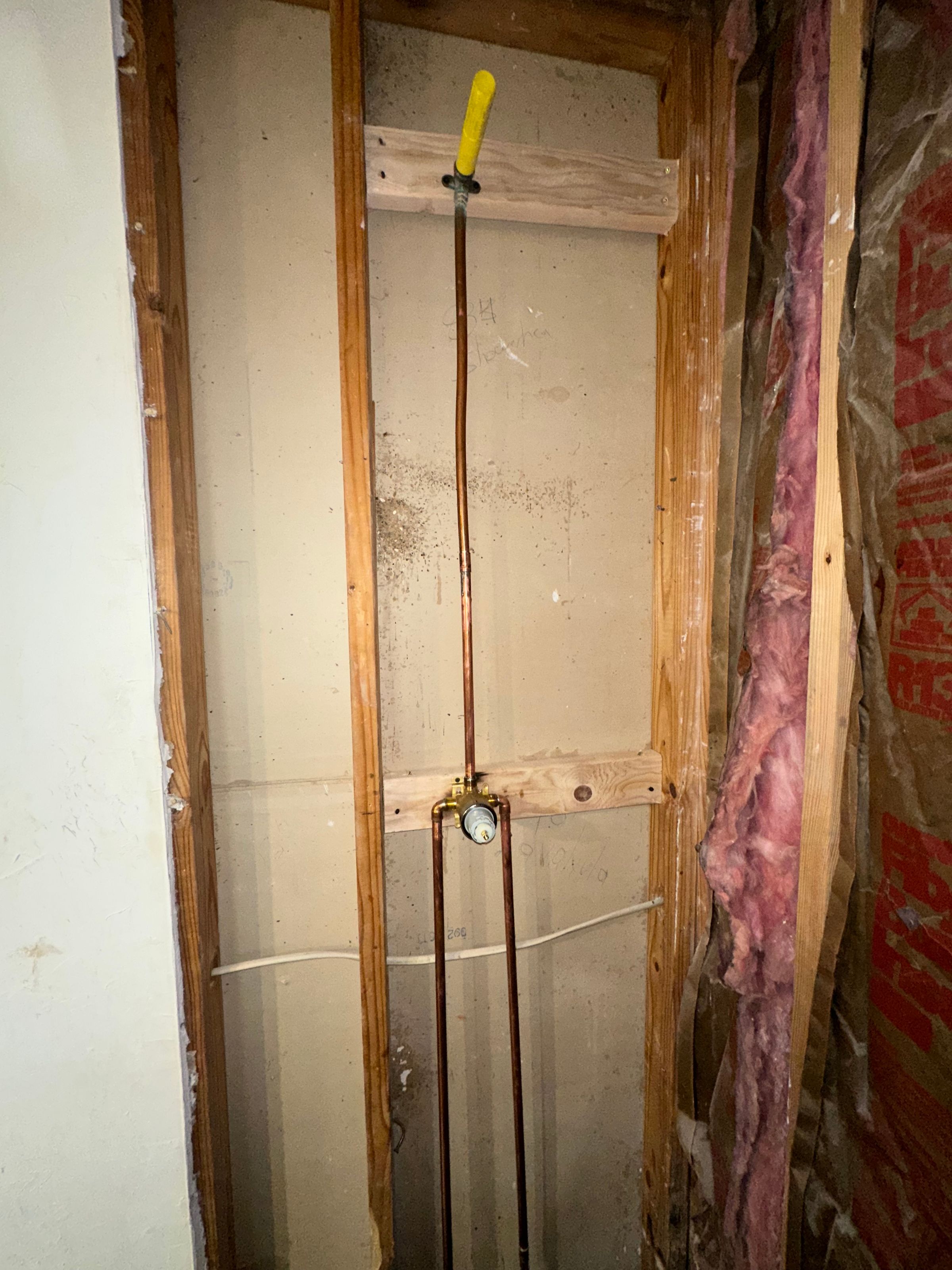 Moen Valve