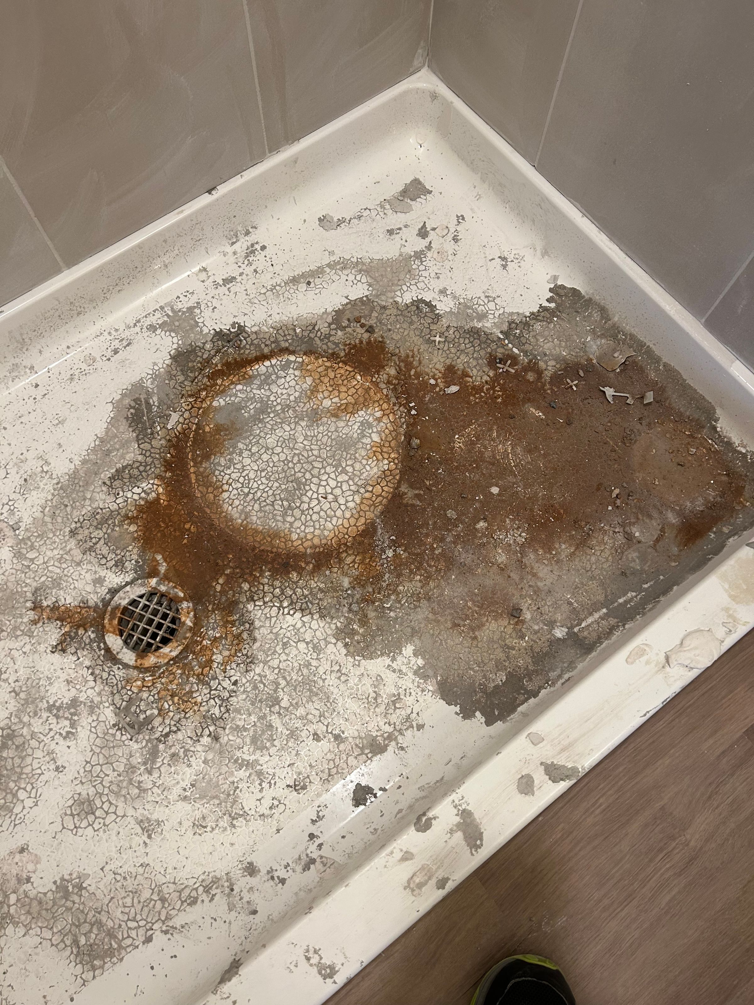 bastyscleaning's image
