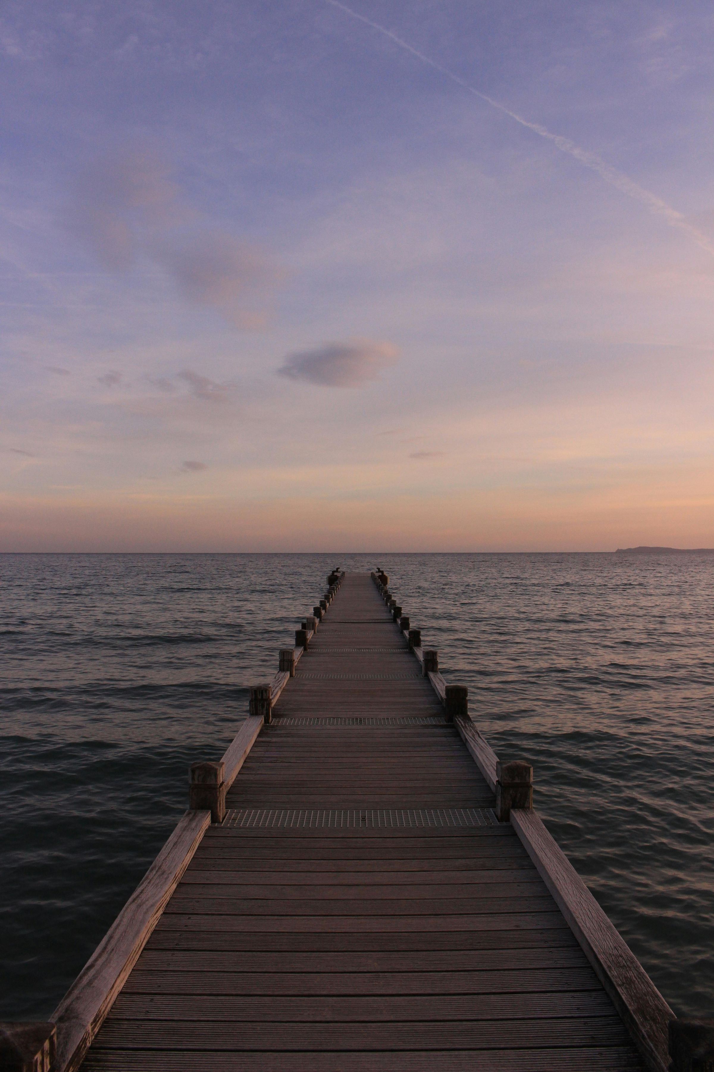 Rogue Marine Services Recovery & Construction LLC's image