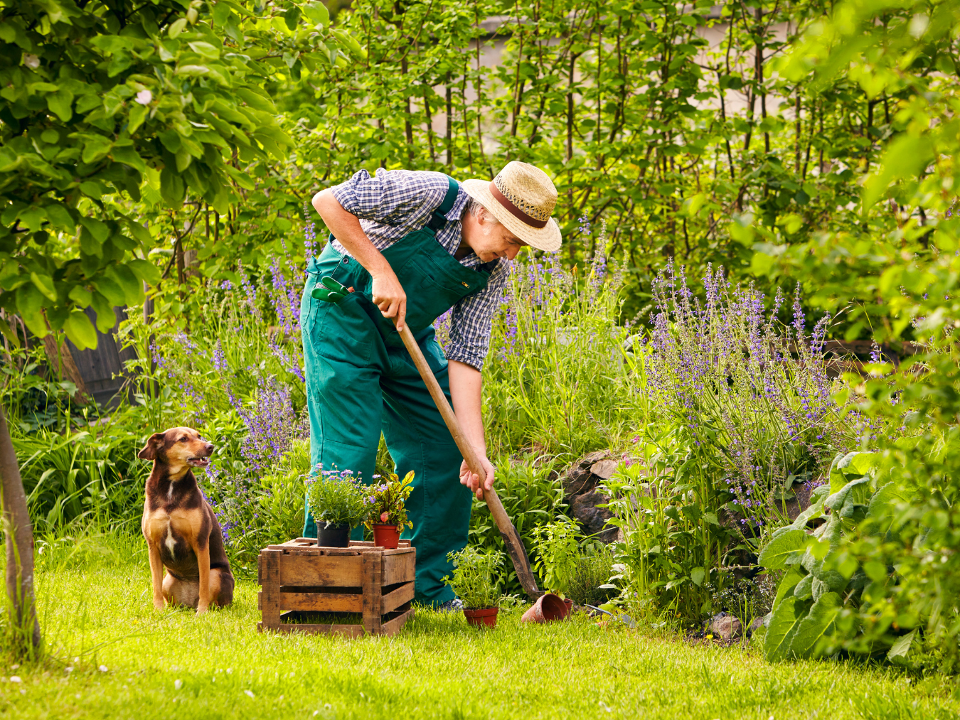 Crowned Property Services 's image