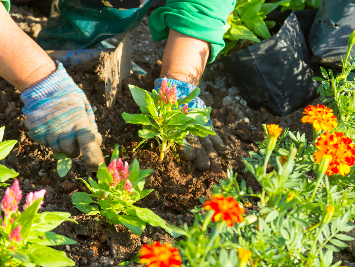 Crowned Property Services 's image