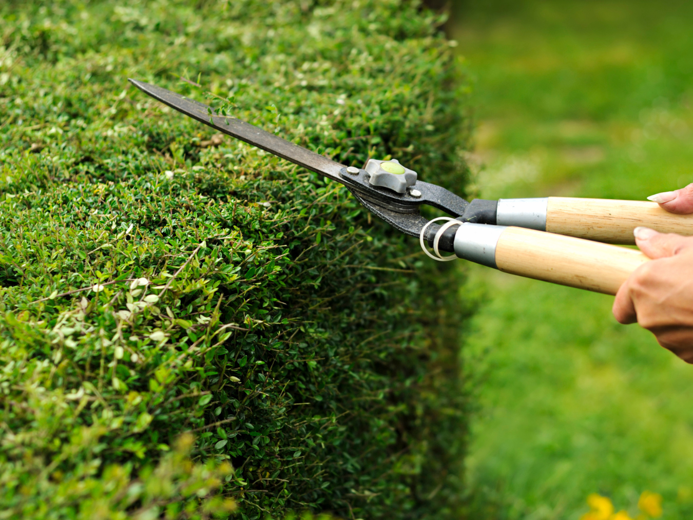 Crowned Property Services 's image