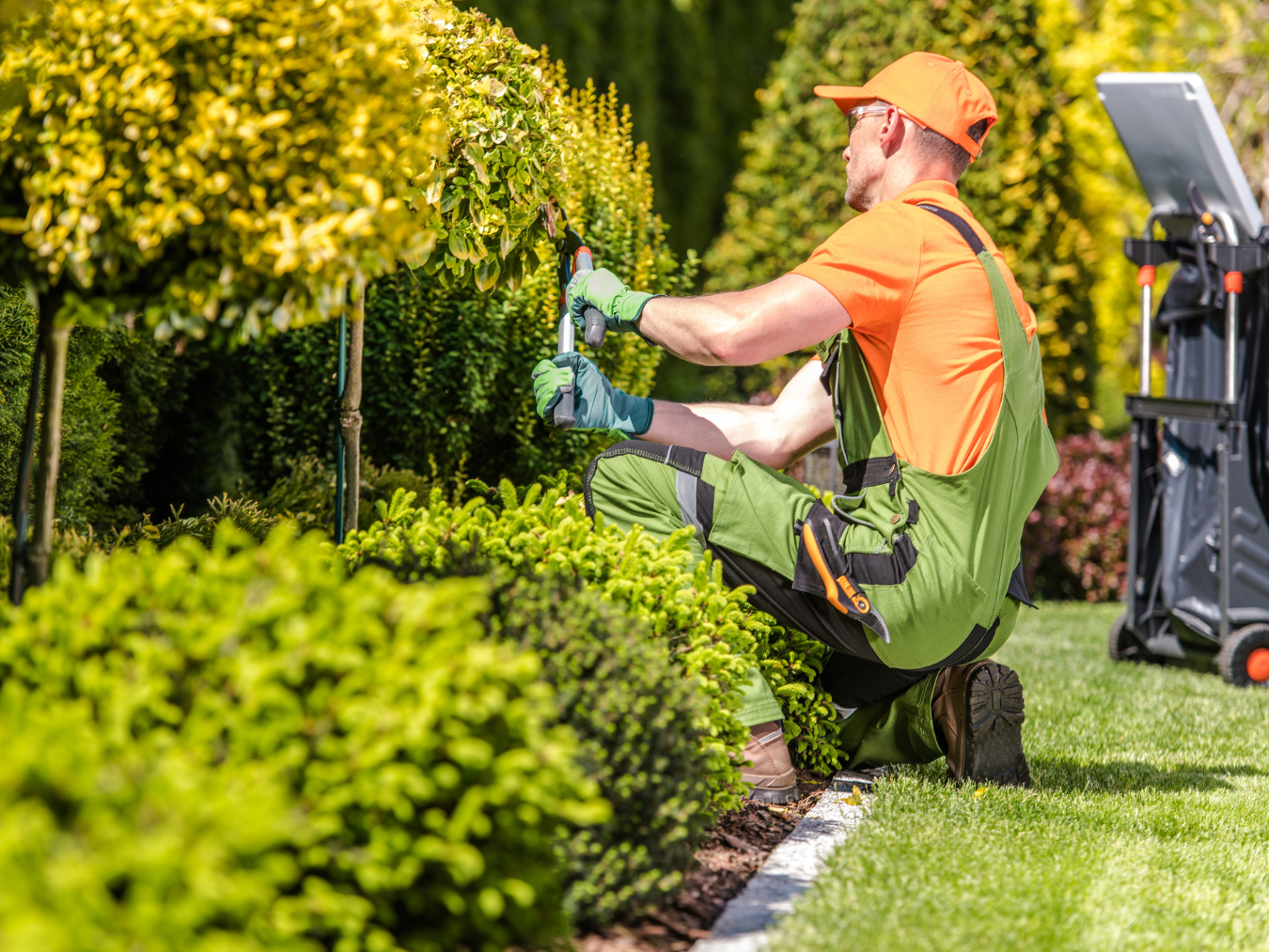 Crowned Property Services 's image