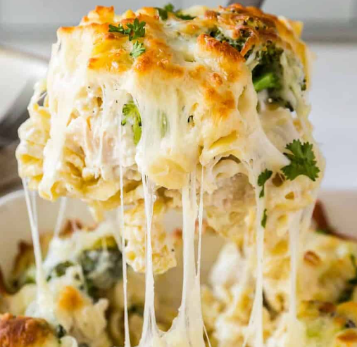 Chicken Alfredo Pasta with Broccoli ($10-45)