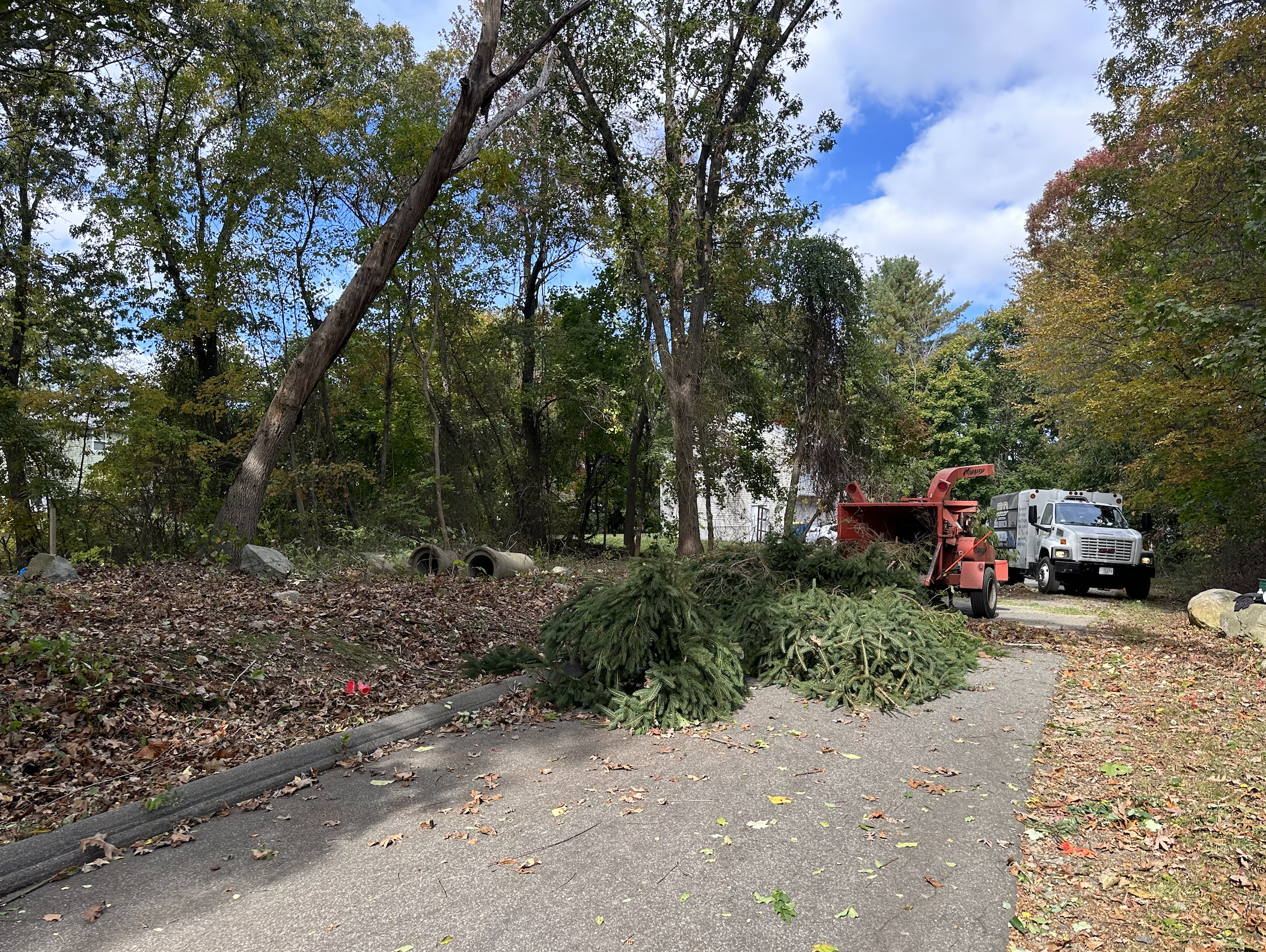 Boston's Boutique Renovation Company 's image