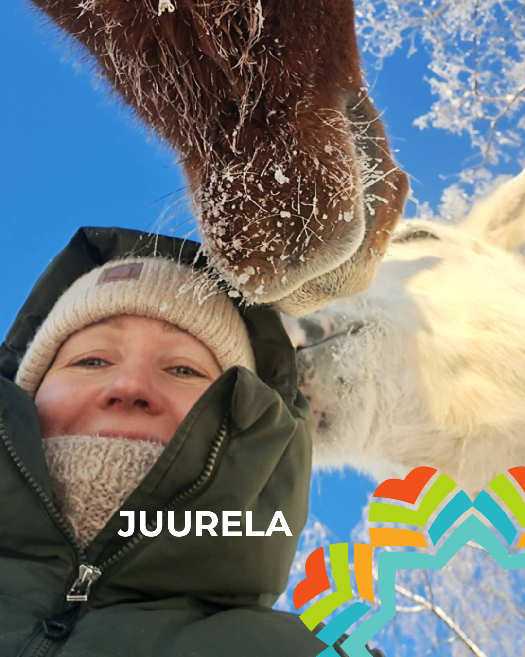 Hyvinvoima Festivaali's image