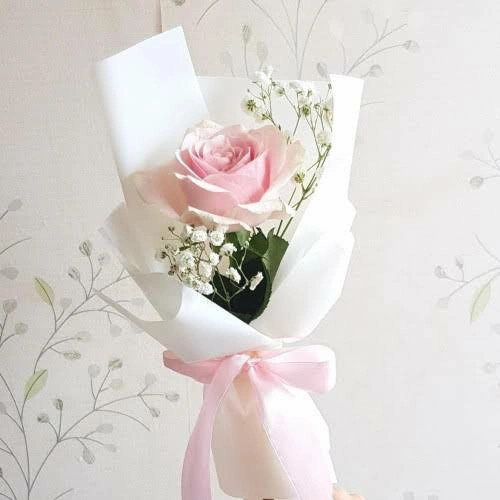 Gracias por visitarnos's image