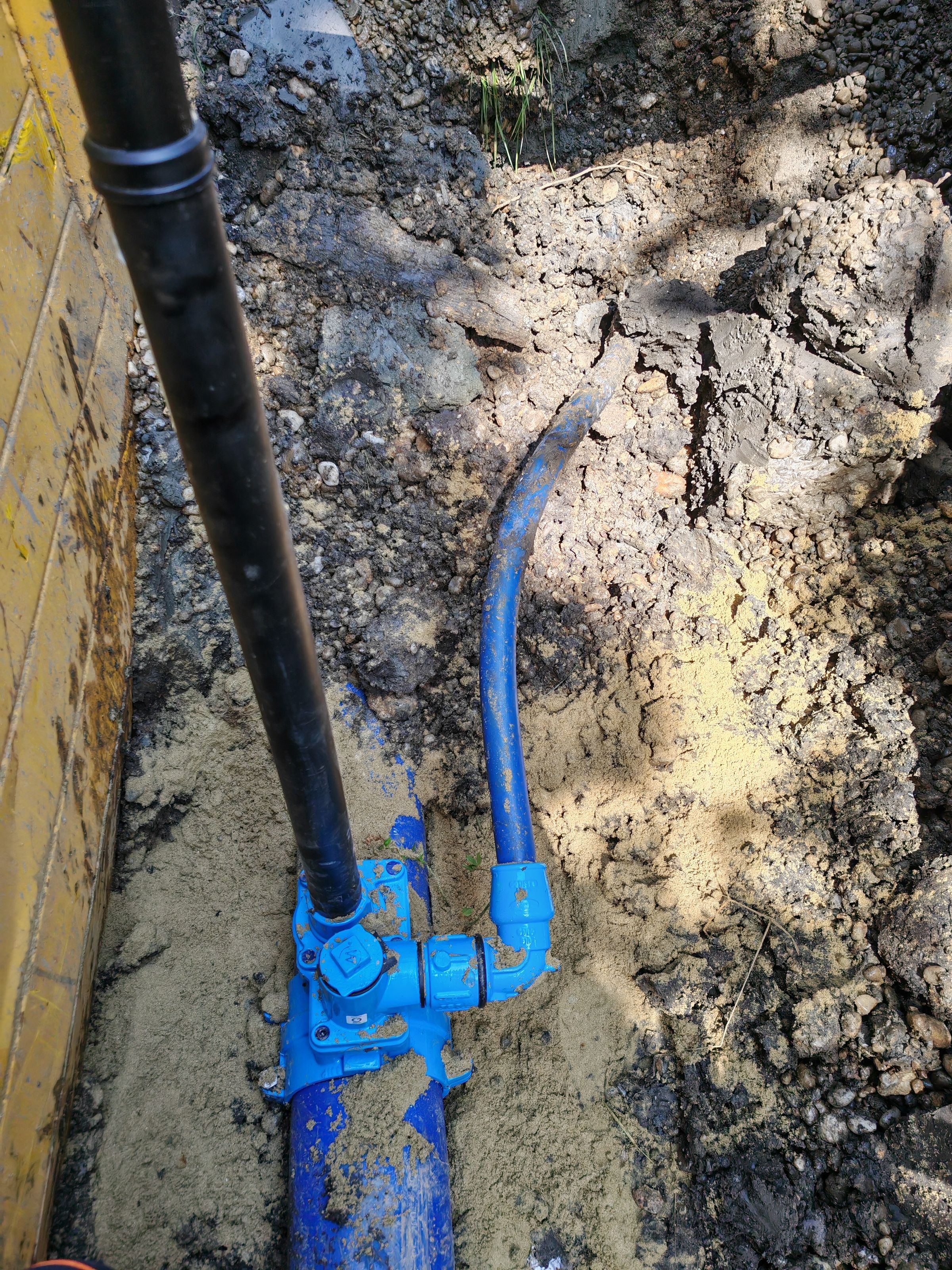 DPM- Germany's image