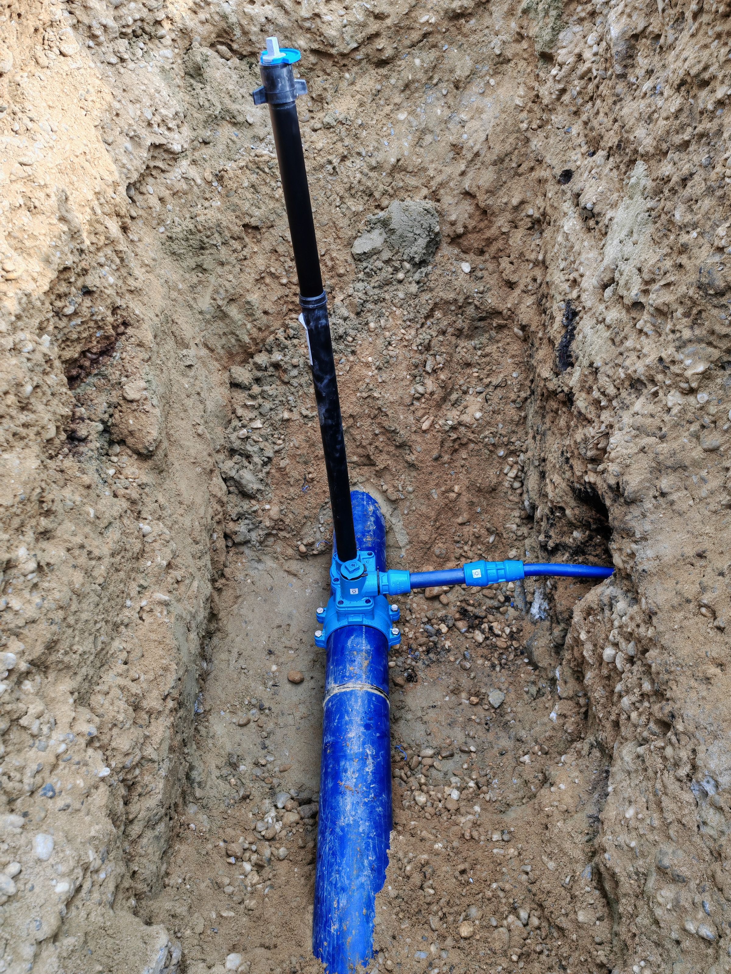 DPM- Germany's image