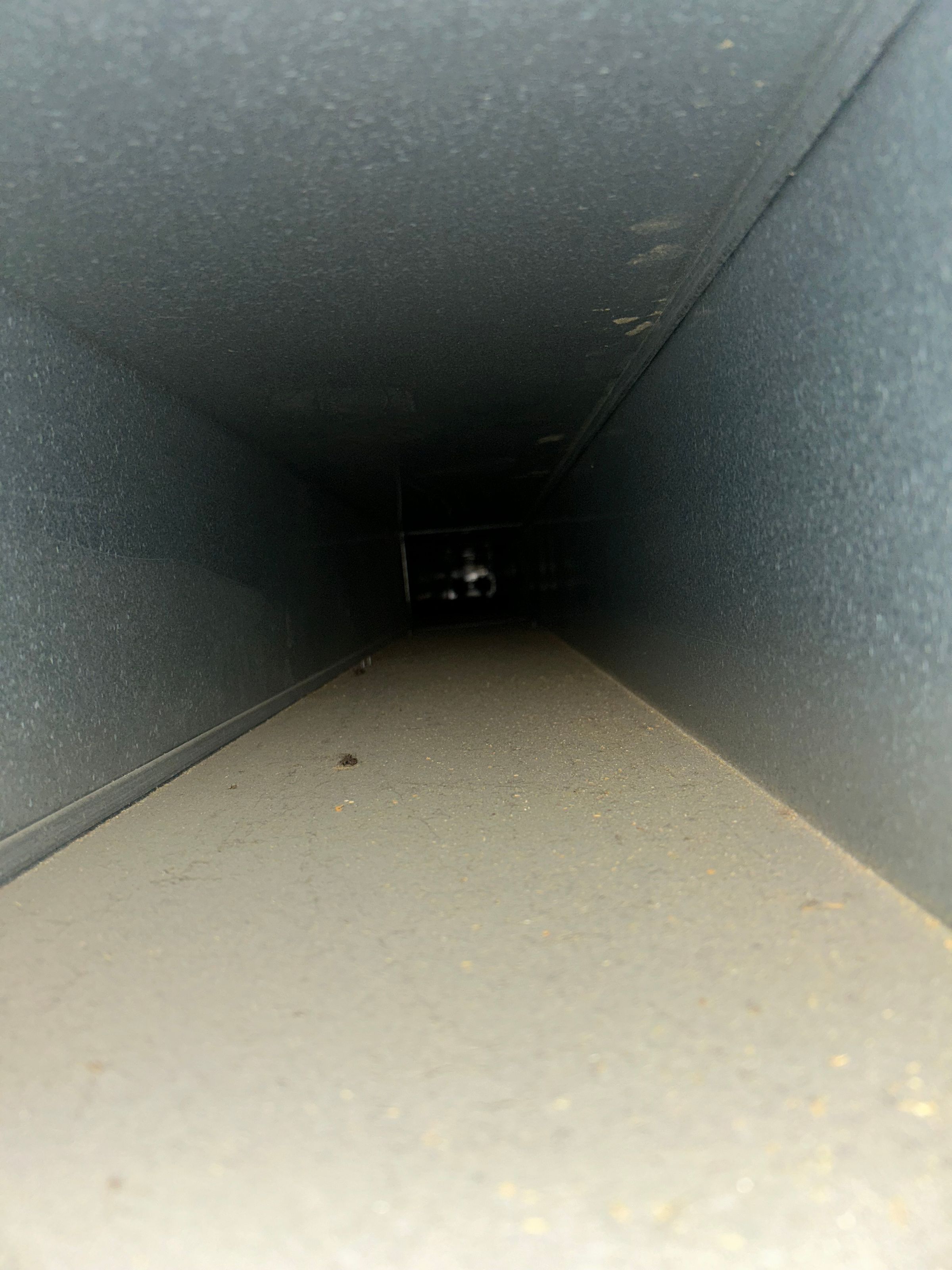 MAIN/TRUNK SUPPLY 